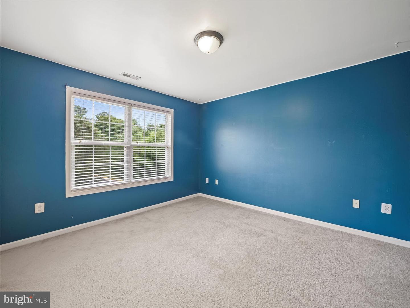 206 Eastside Lane photo 19