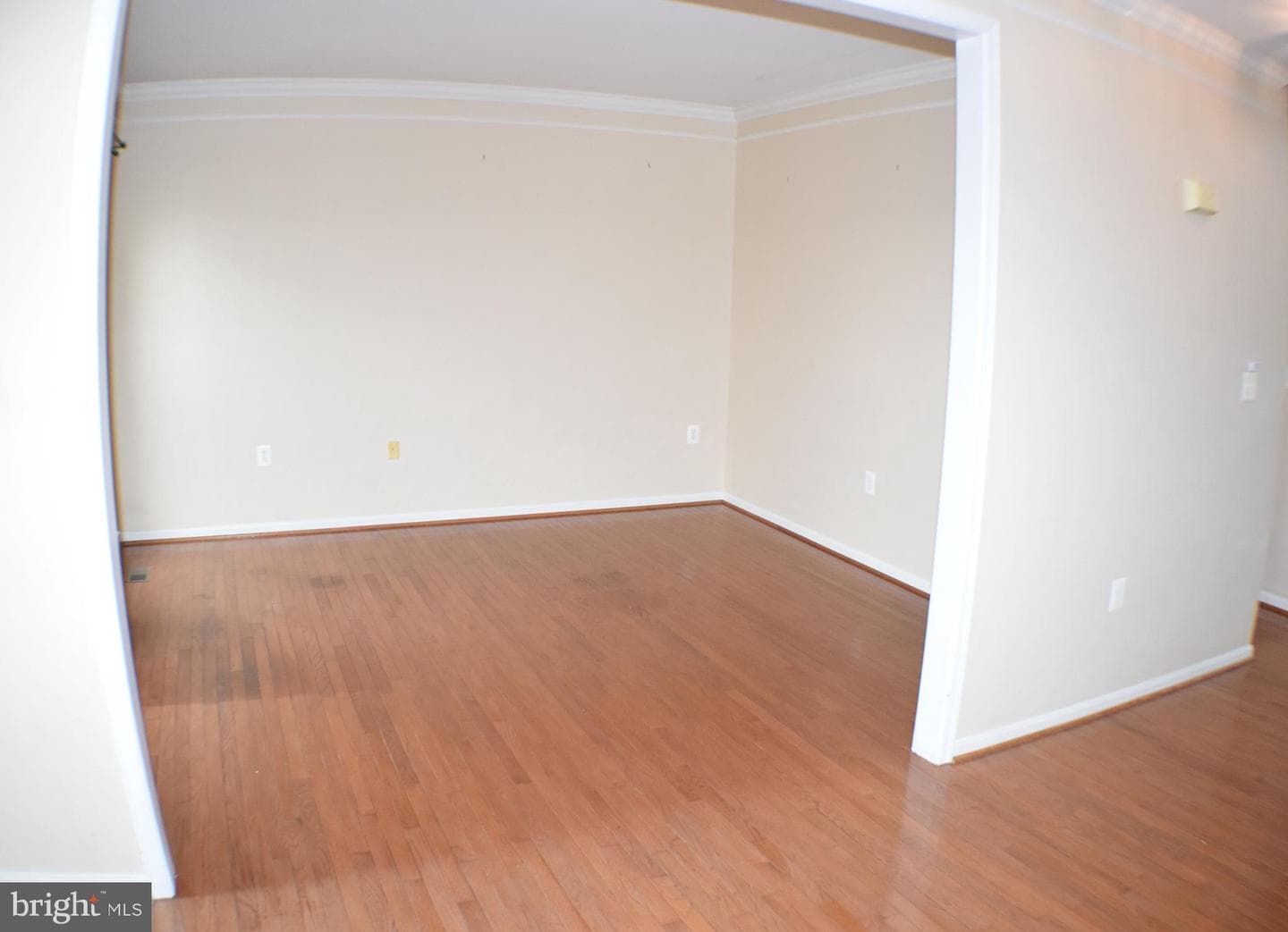 203 Lynnehaven Drive photo 12