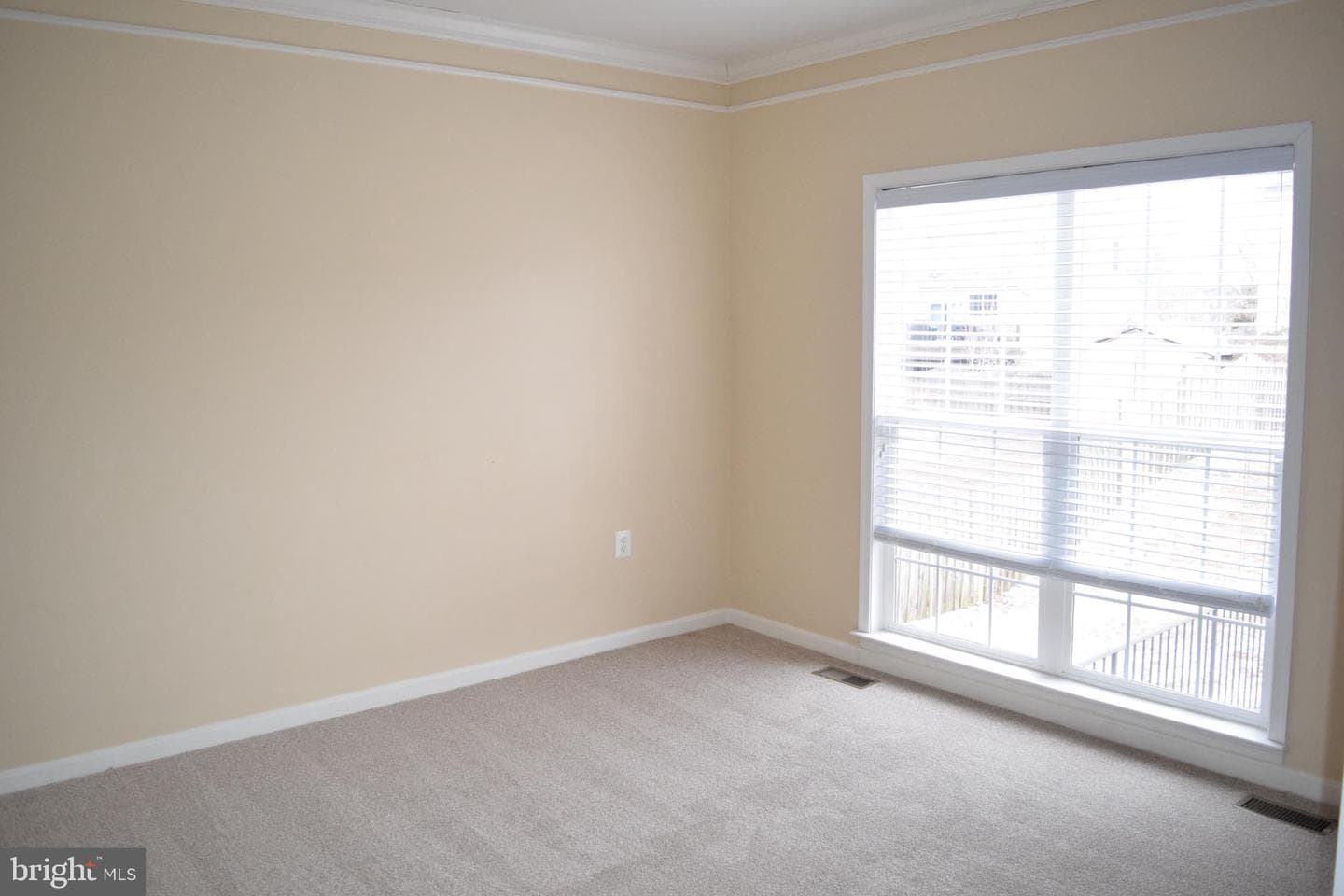 203 Lynnehaven Drive photo 5