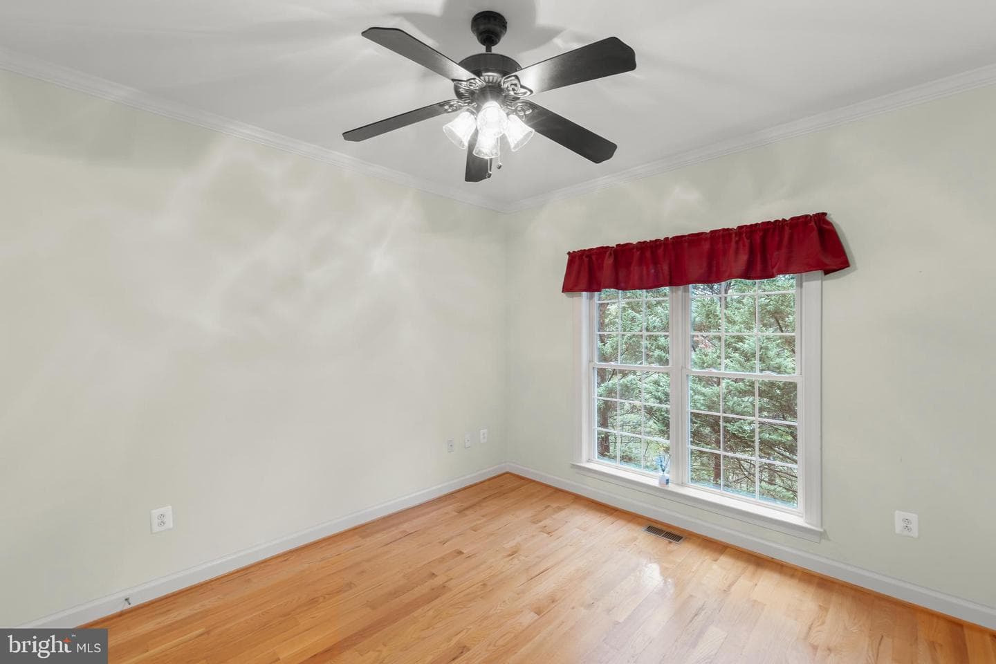 223 Cavalry Drive photo 26
