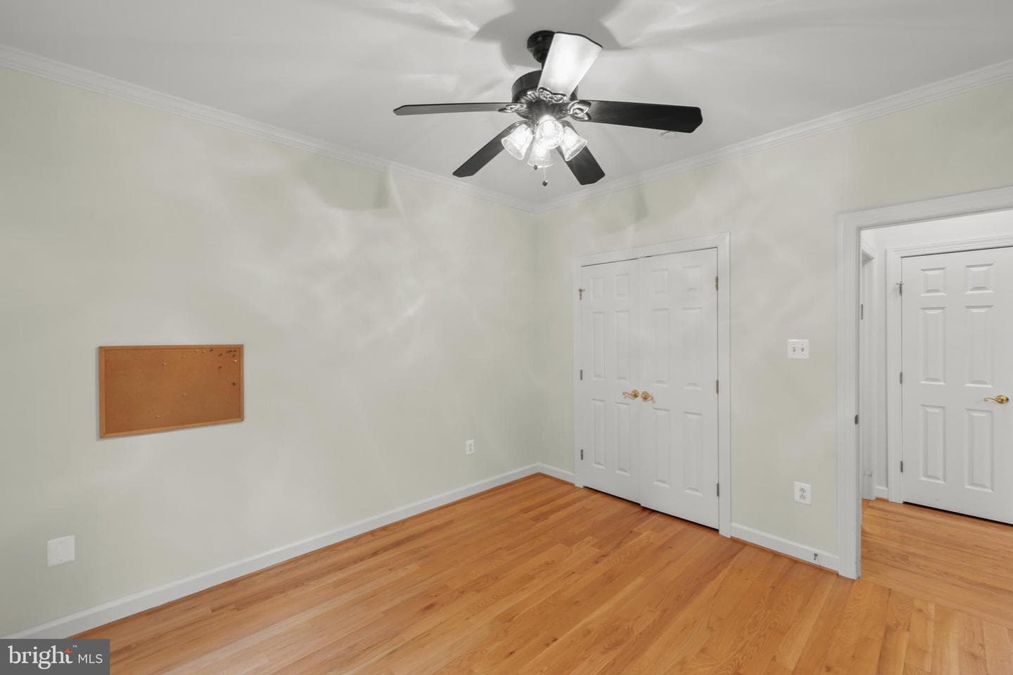 223 Cavalry Drive photo 27