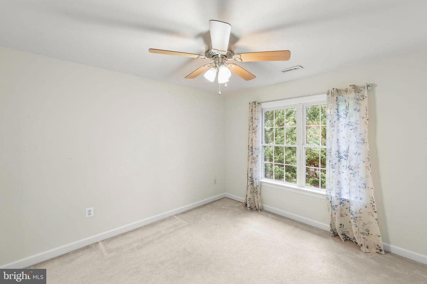 223 Cavalry Drive photo 32