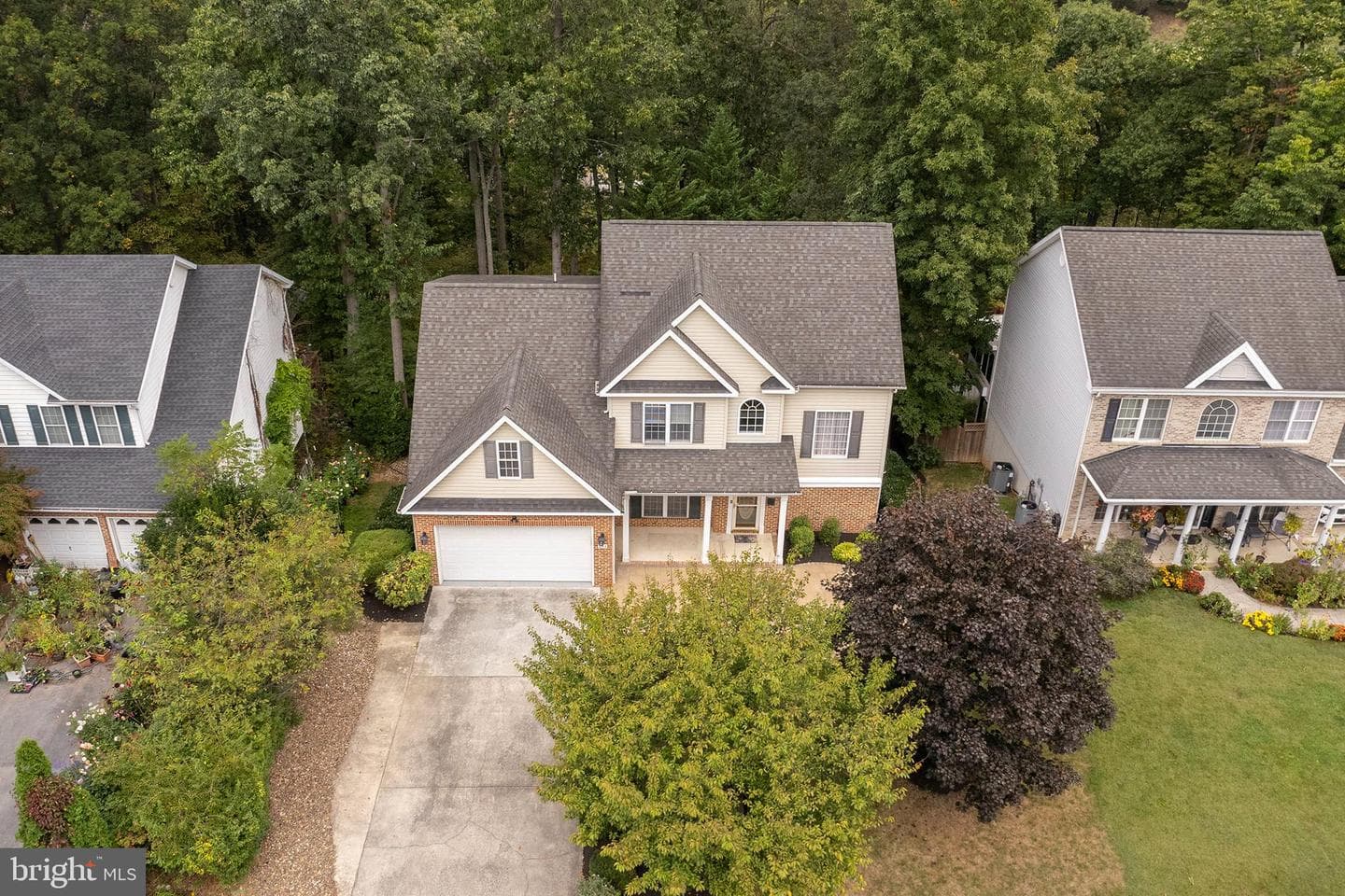 223 Cavalry Drive photo 5