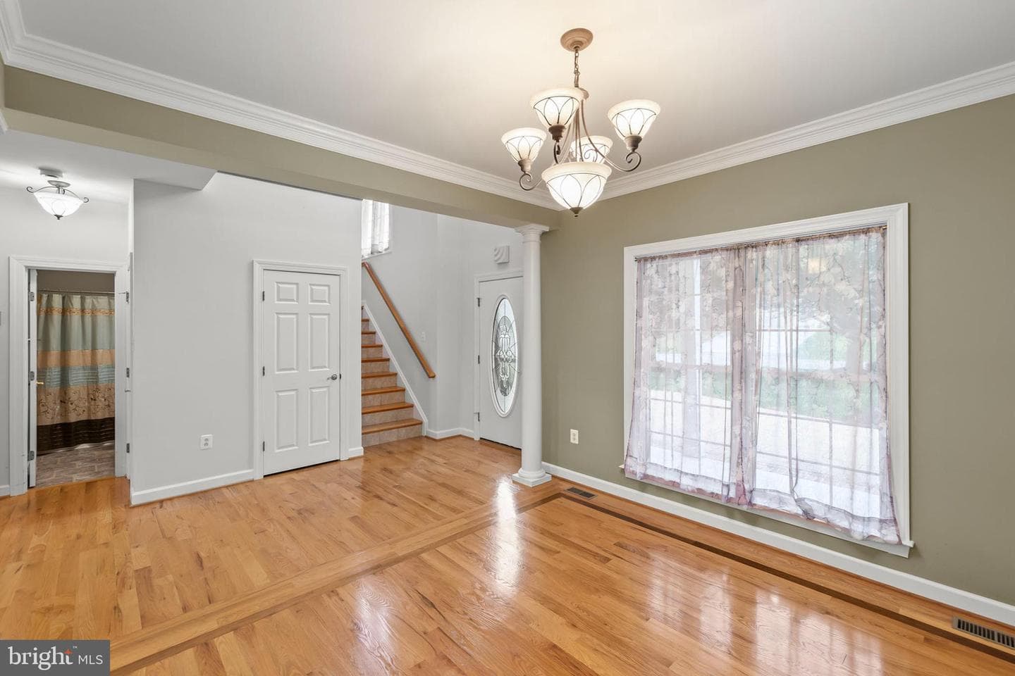 223 Cavalry Drive photo 9
