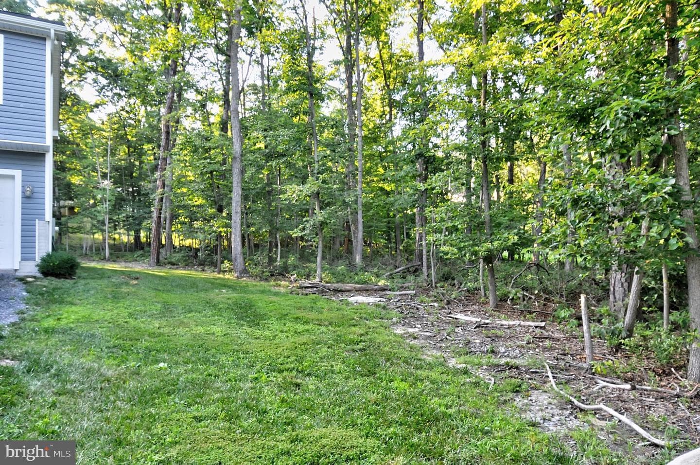 415 Quail Drive photo 40