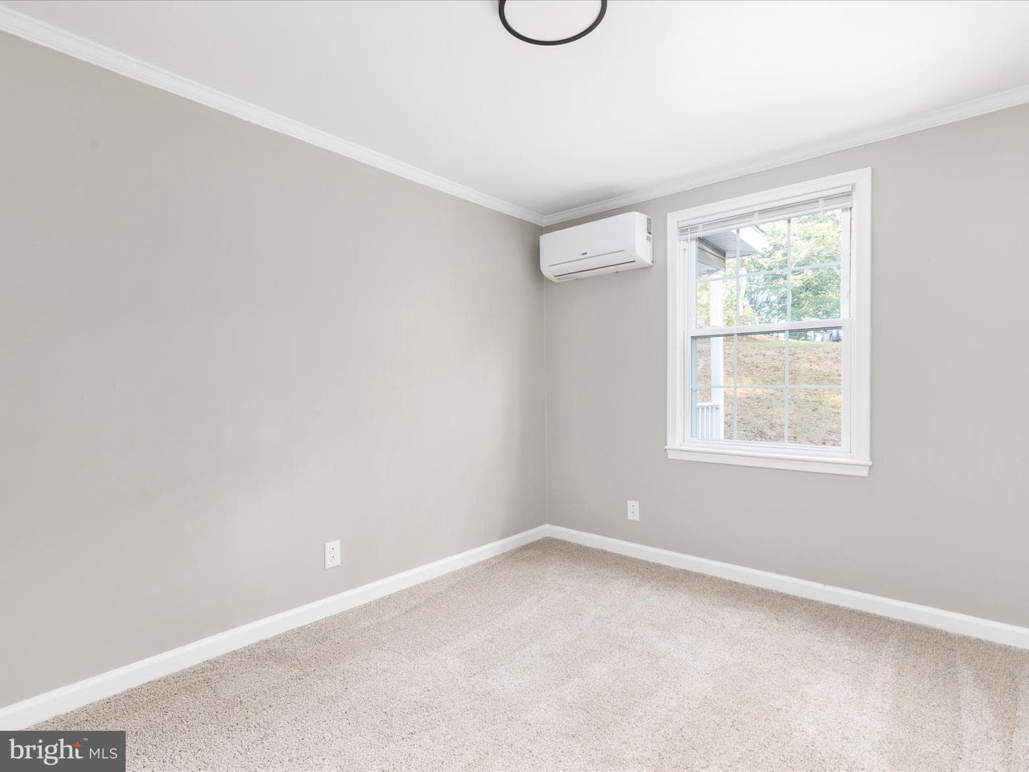210 Zeiger Drive photo 19