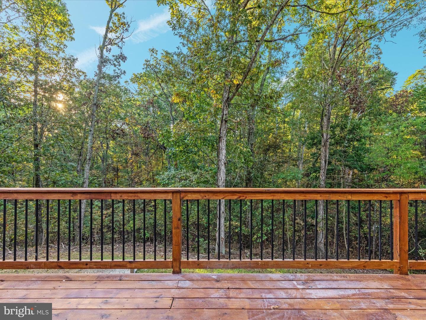 210 Zeiger Drive photo 23