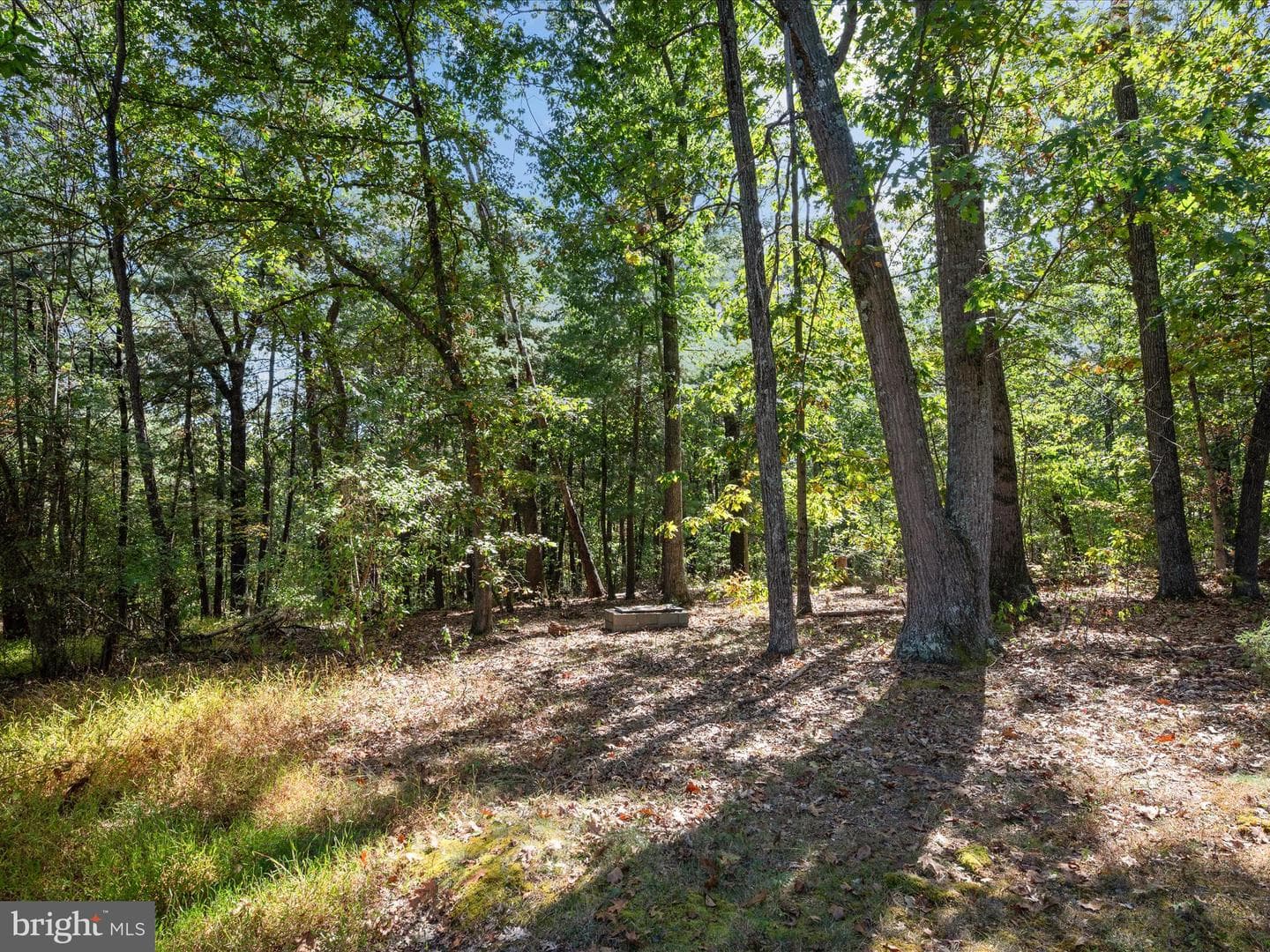 220 Chestnut Grove Road photo 39