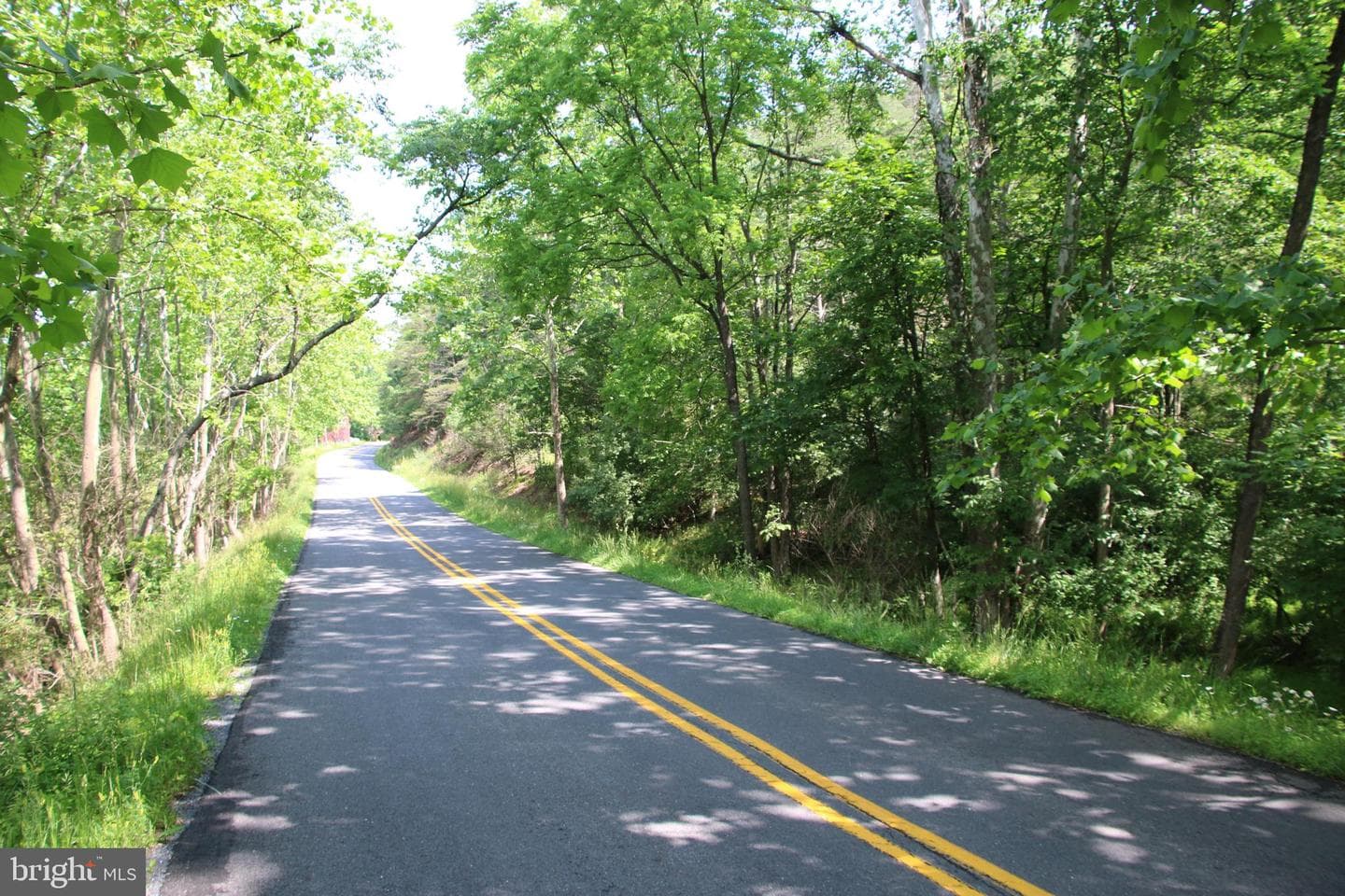 859 Brush Creek photo 10