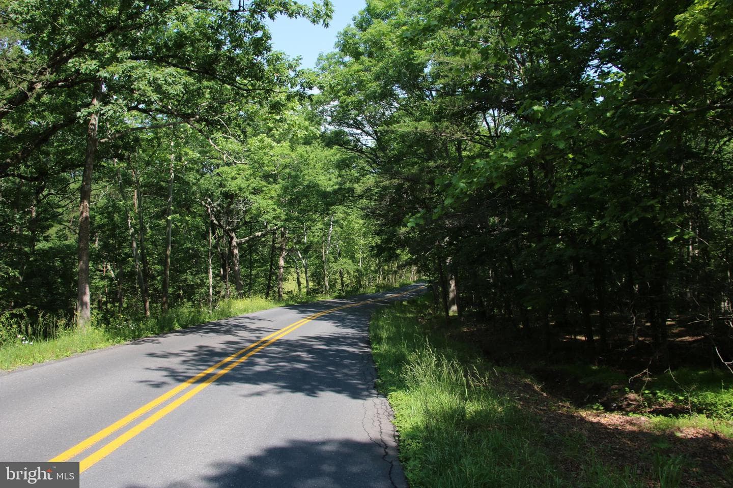 859 Brush Creek photo 11
