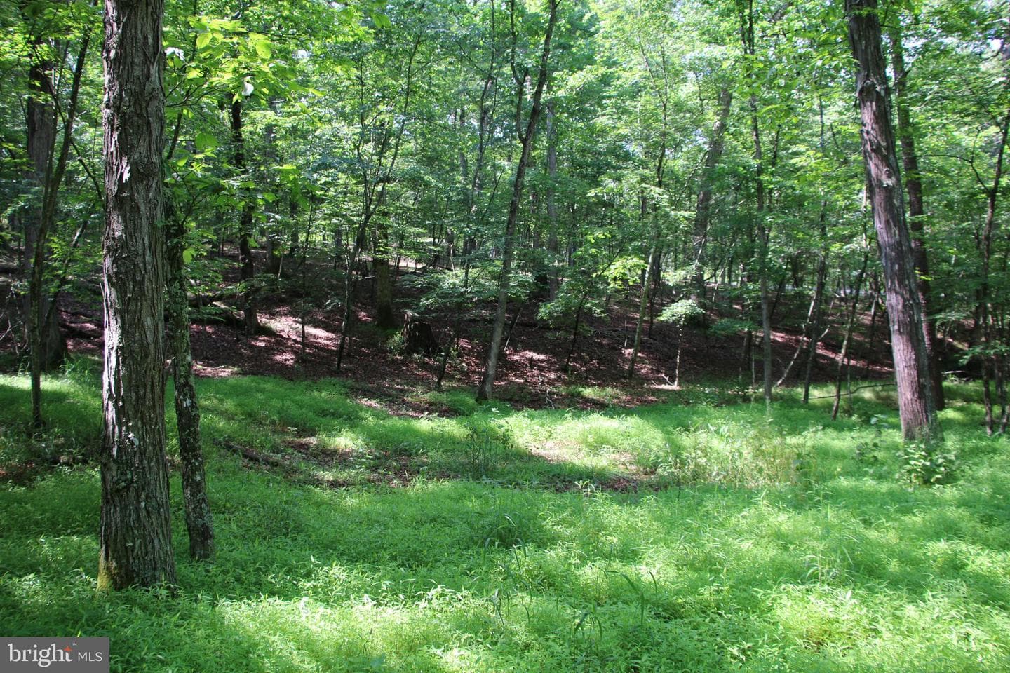 859 Brush Creek photo 13