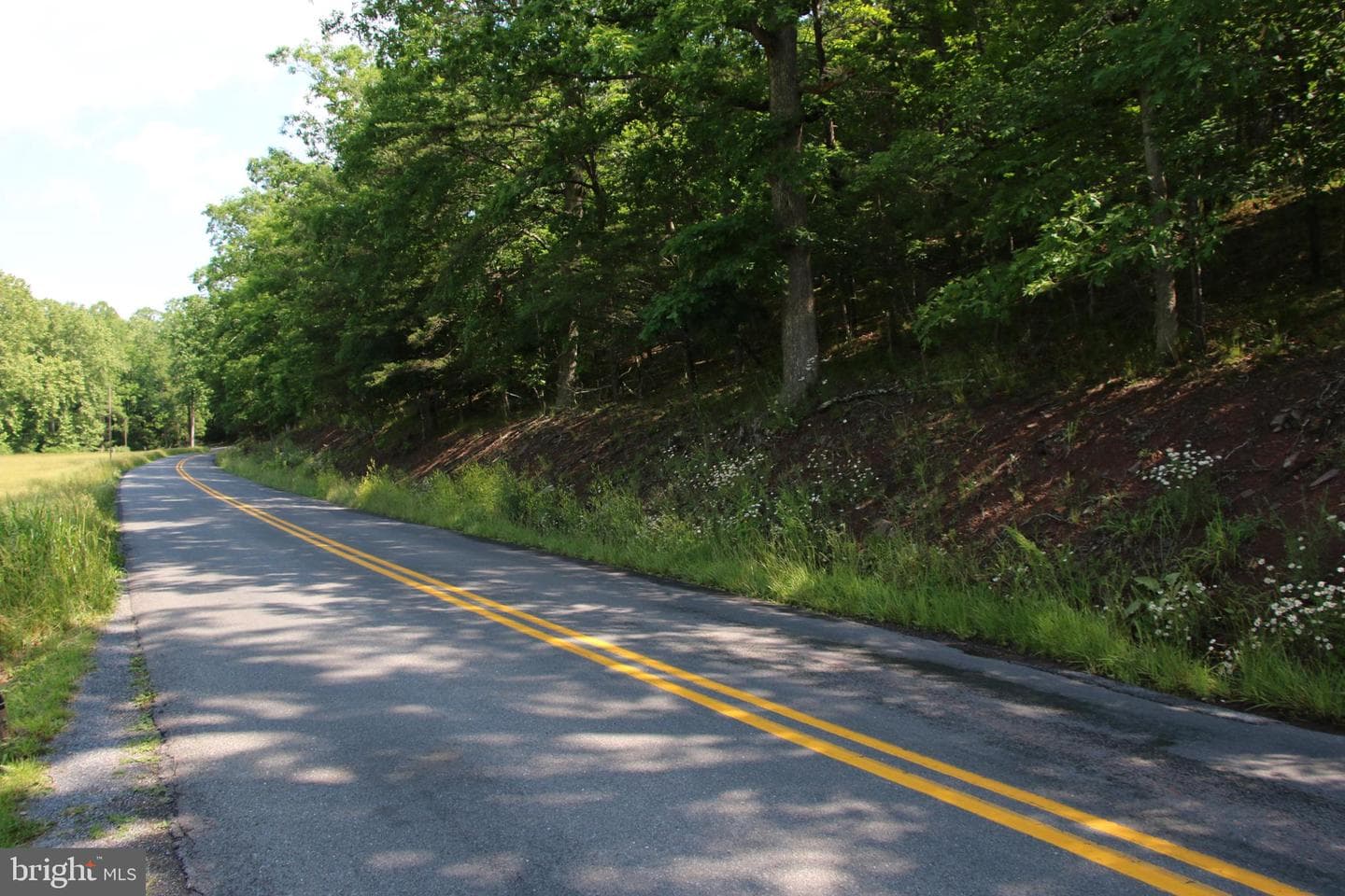 859 Brush Creek photo 14