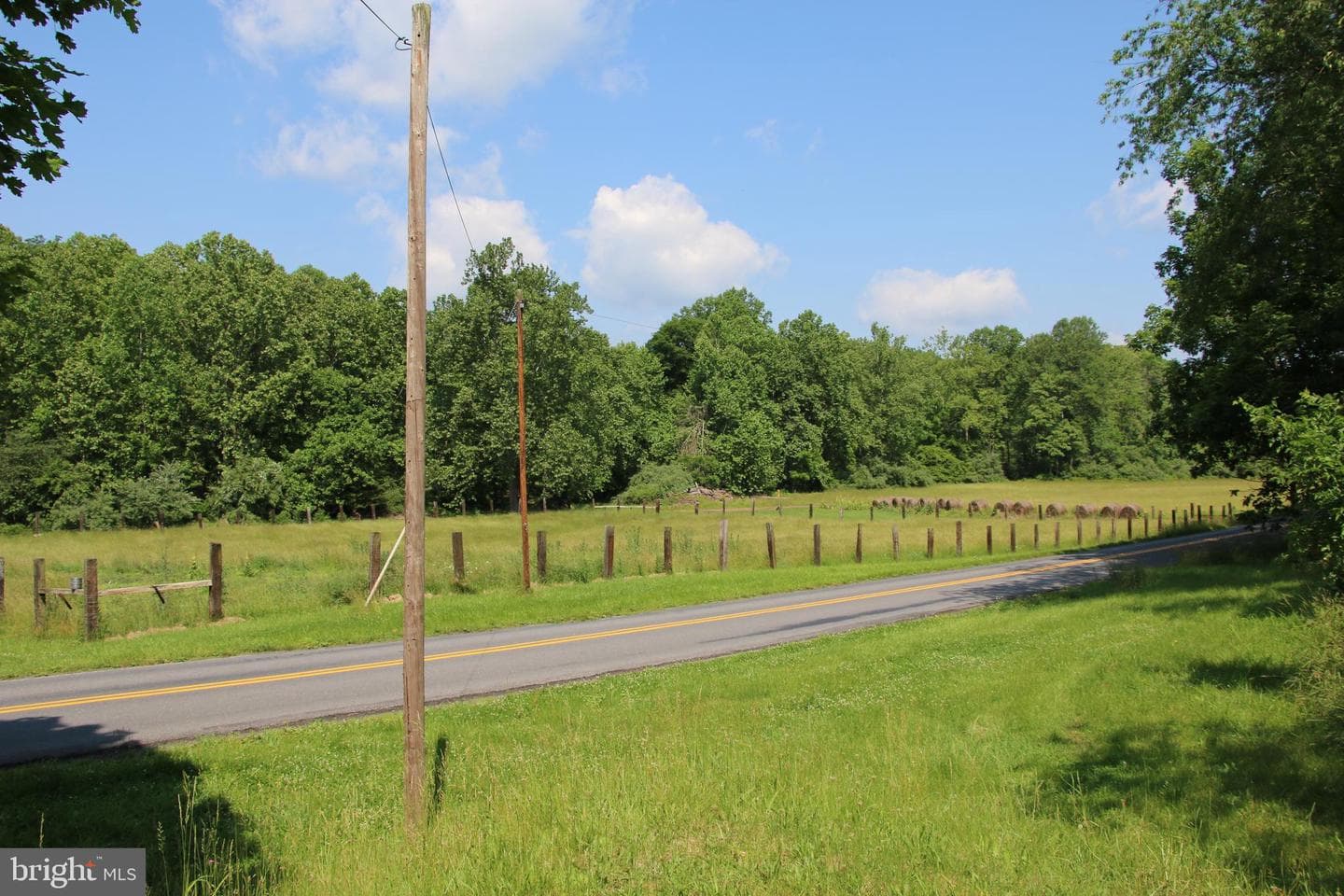 859 Brush Creek photo 17