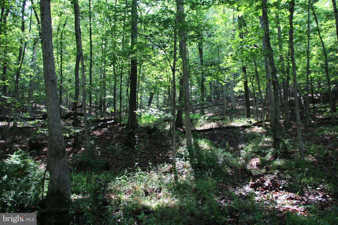 859 Brush Creek photo 18