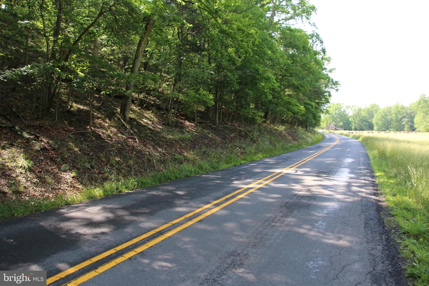 859 Brush Creek photo 19