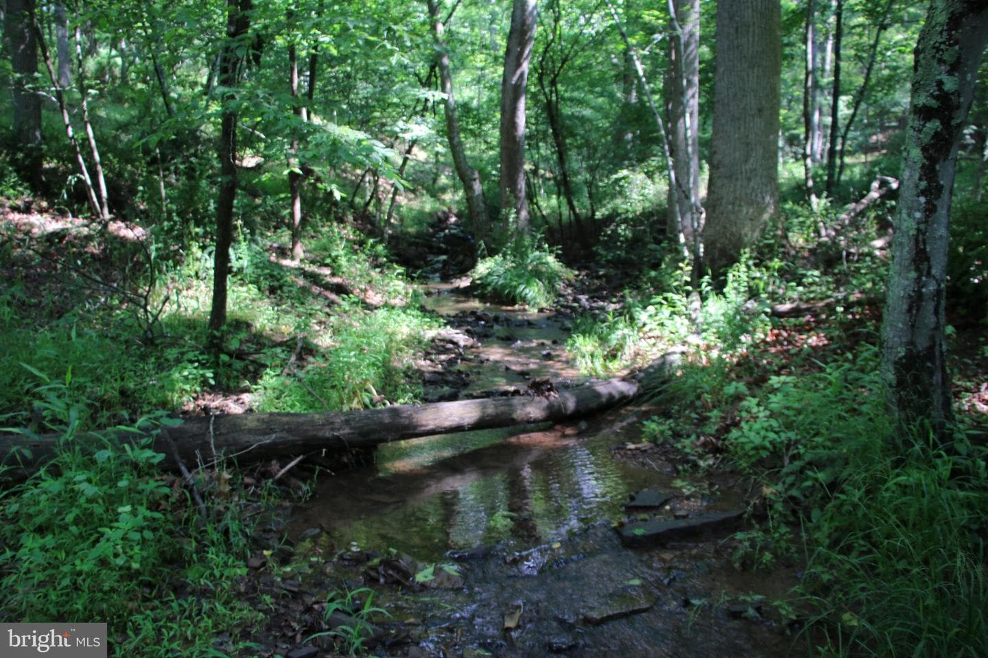 859 Brush Creek photo 20