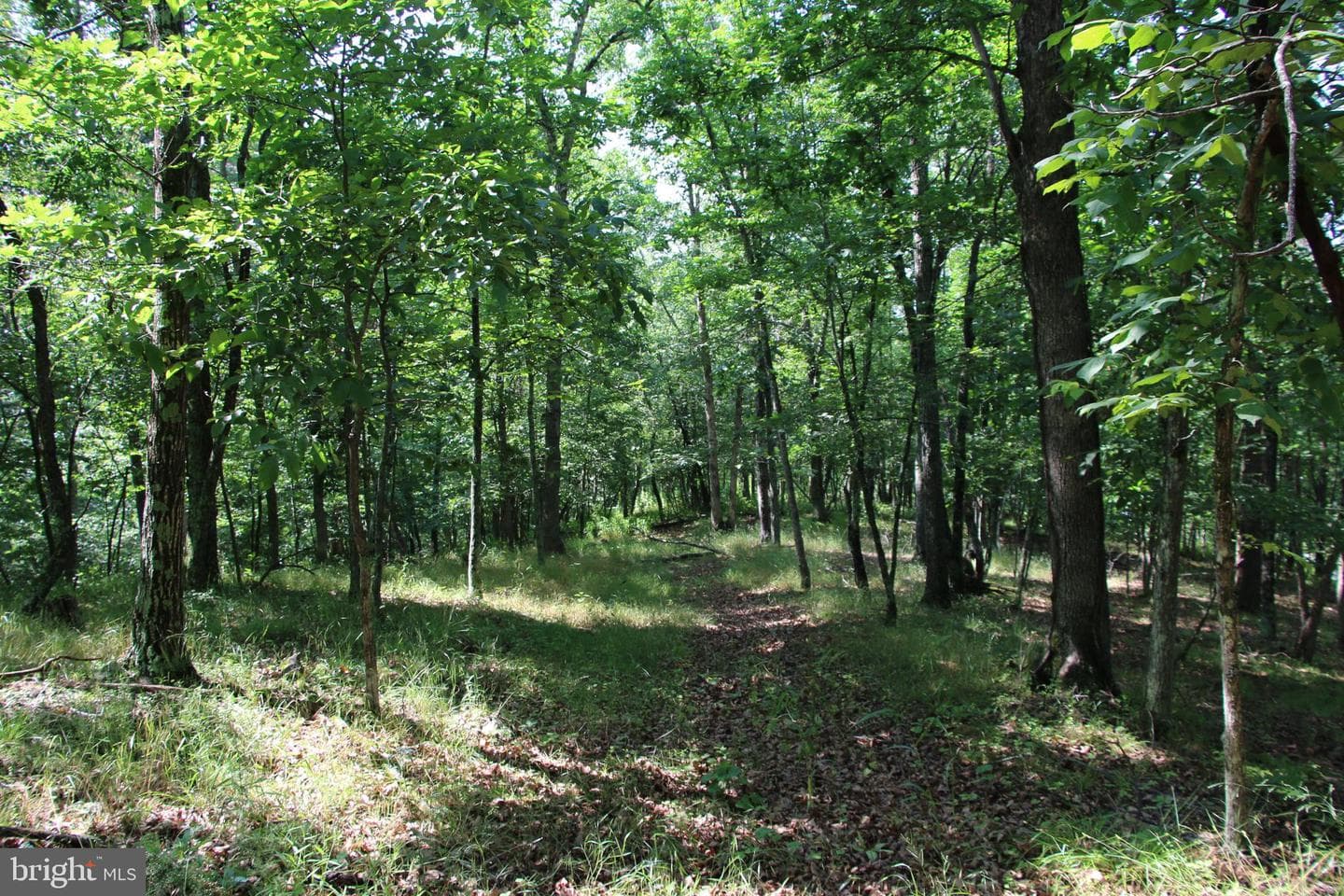 859 Brush Creek photo 21