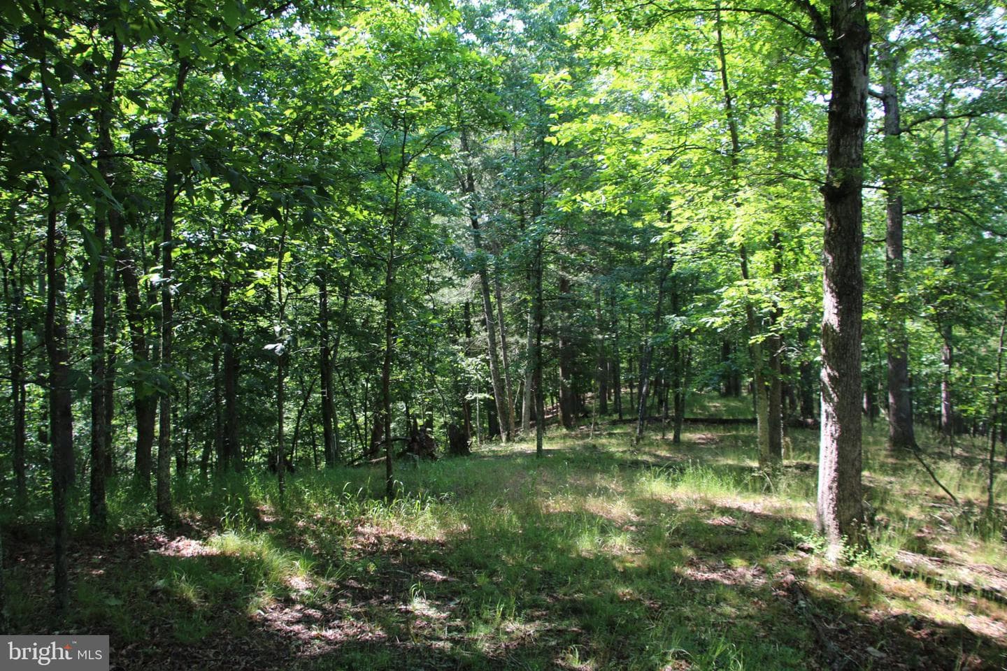 859 Brush Creek photo 22
