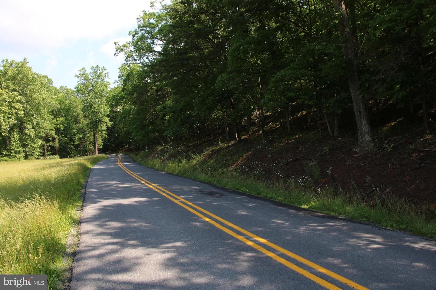 859 Brush Creek photo 23