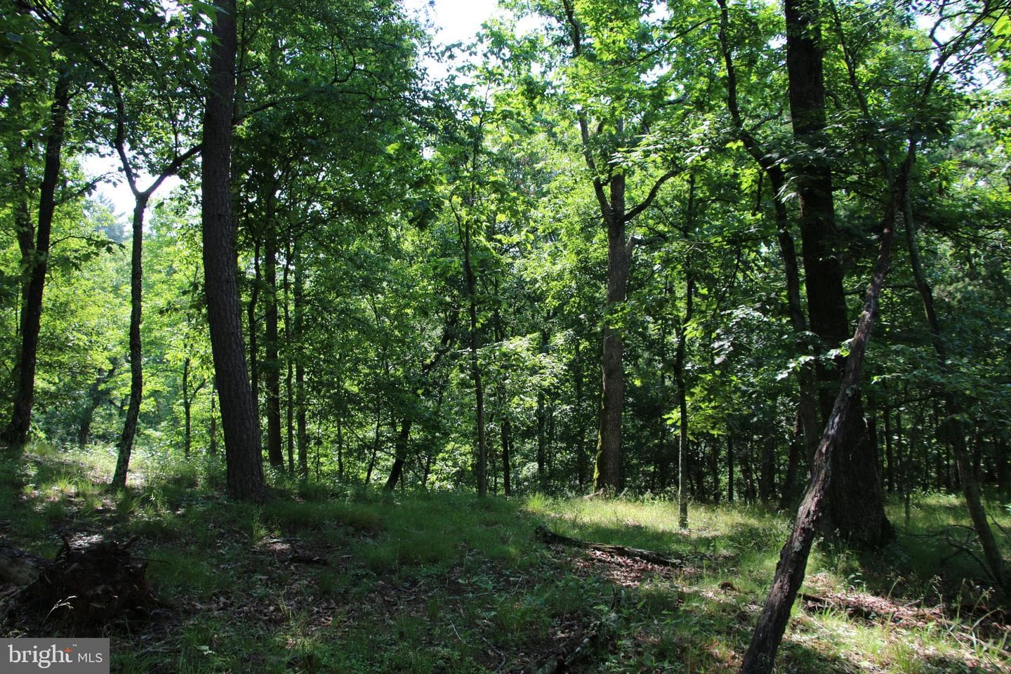 859 Brush Creek photo 24