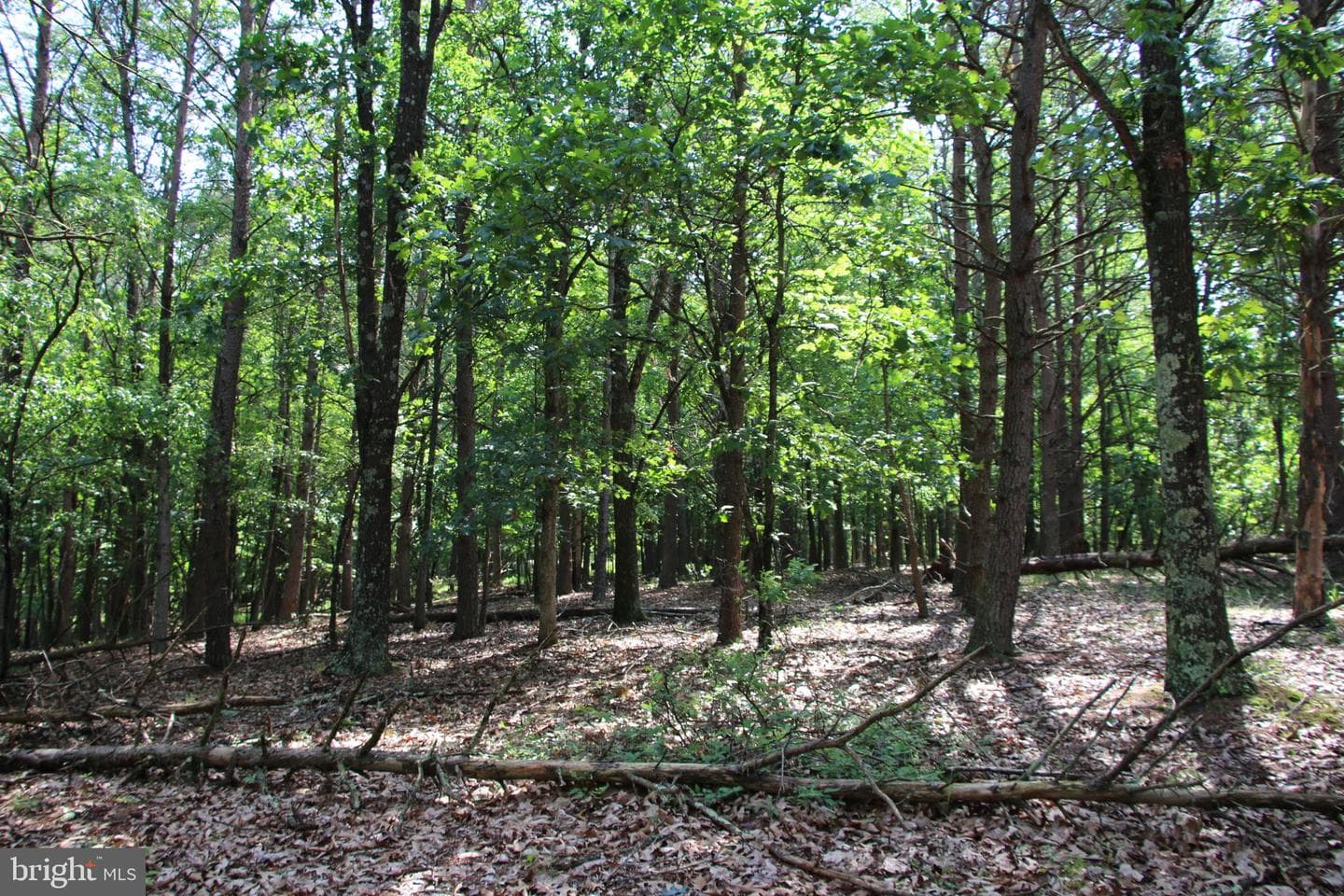 859 Brush Creek photo 25