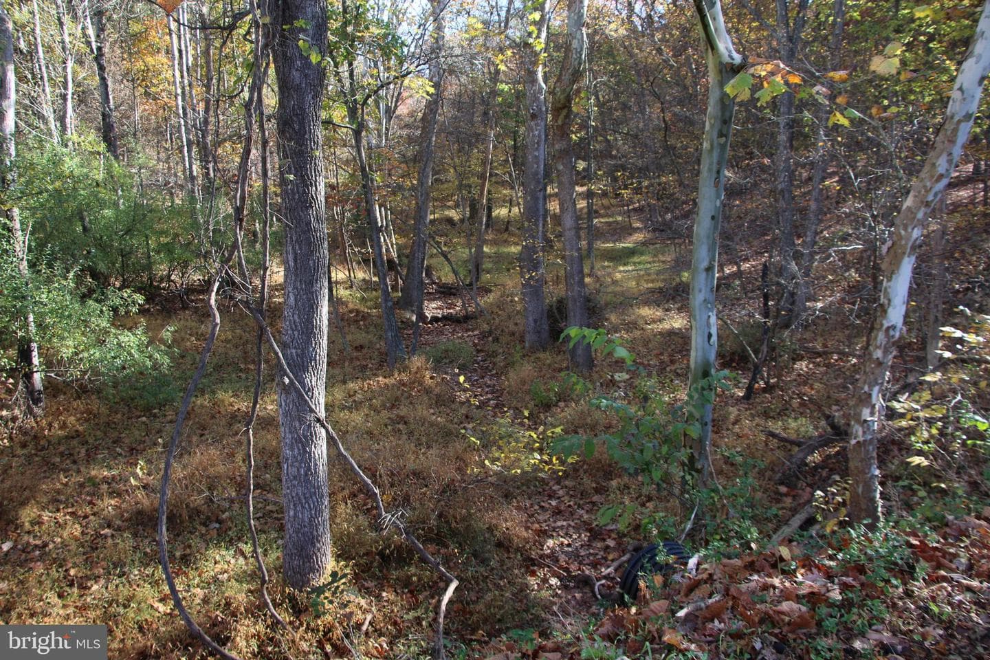 859 Brush Creek photo 26