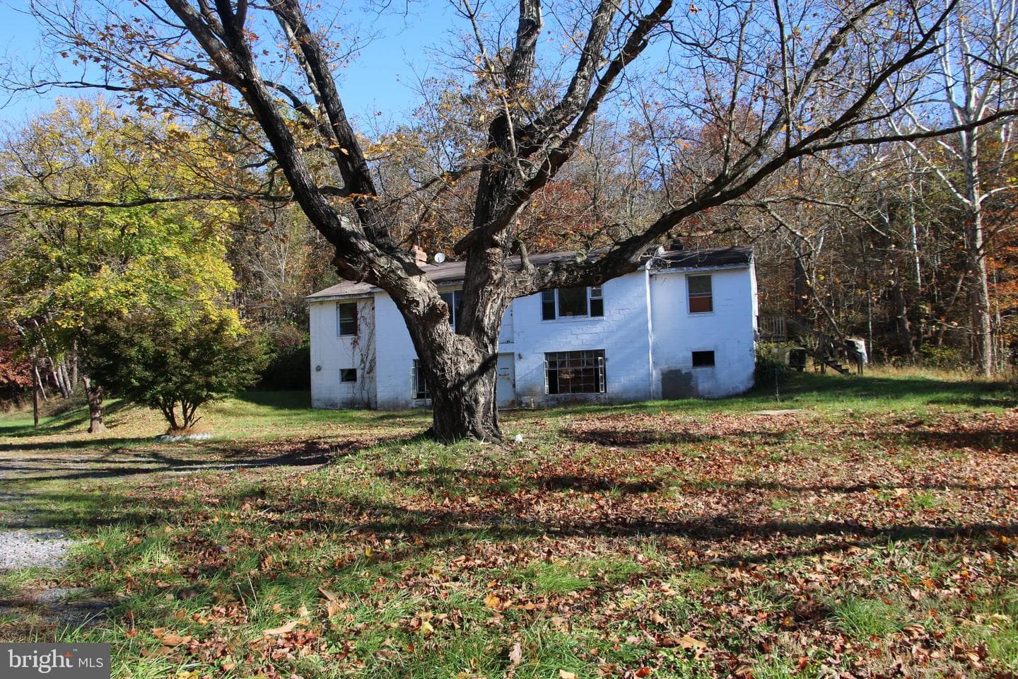 859 Brush Creek photo 28