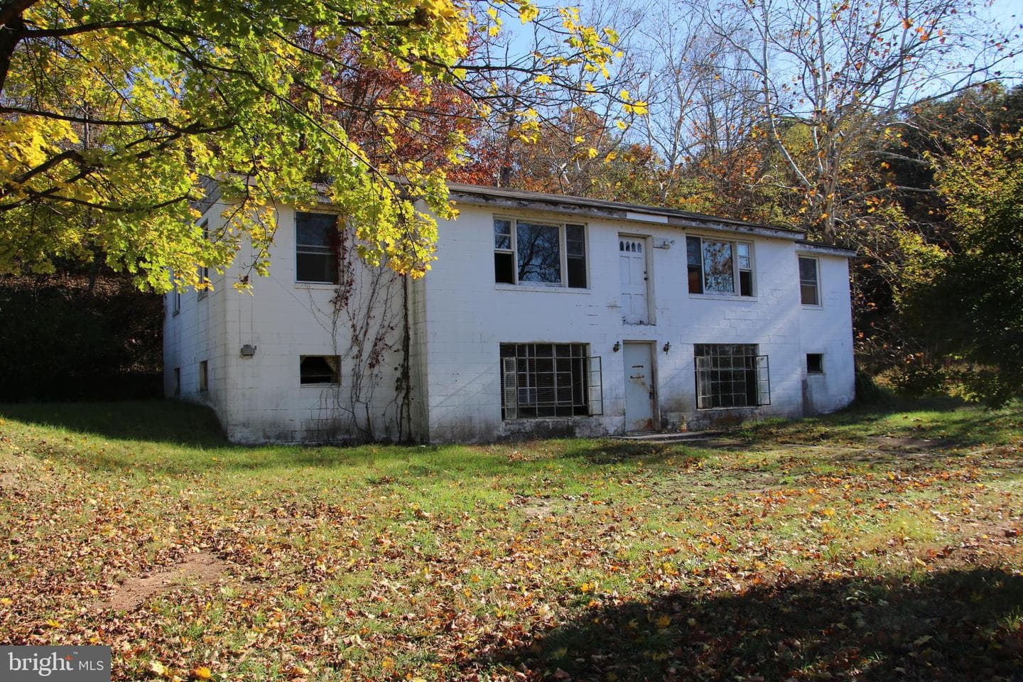 859 Brush Creek photo 29