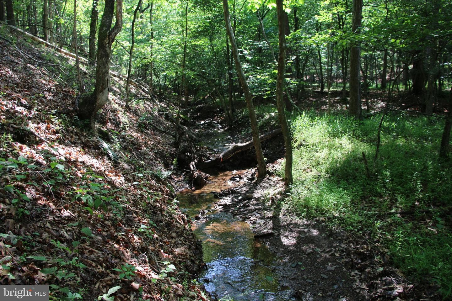 859 Brush Creek photo 3