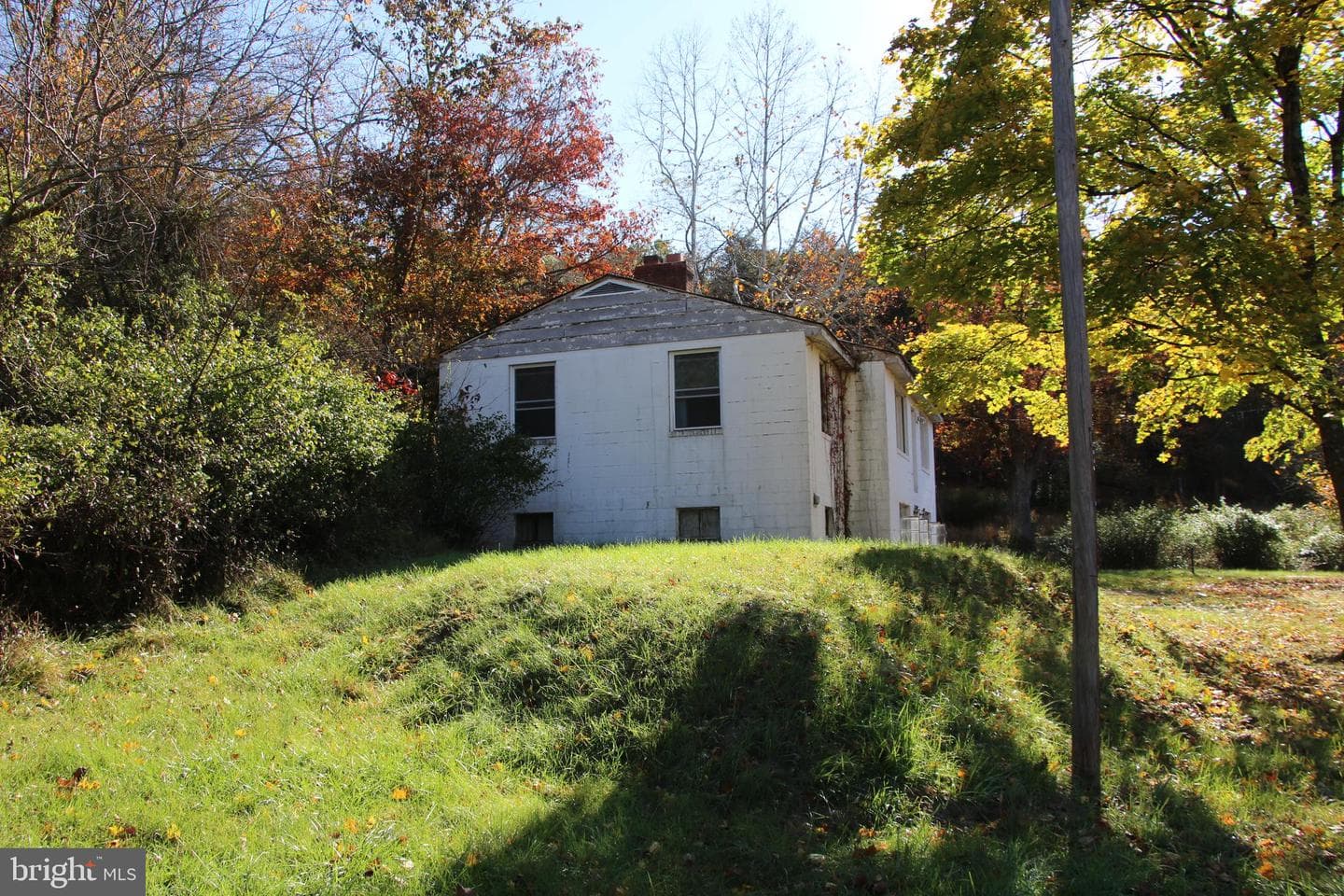859 Brush Creek photo 31