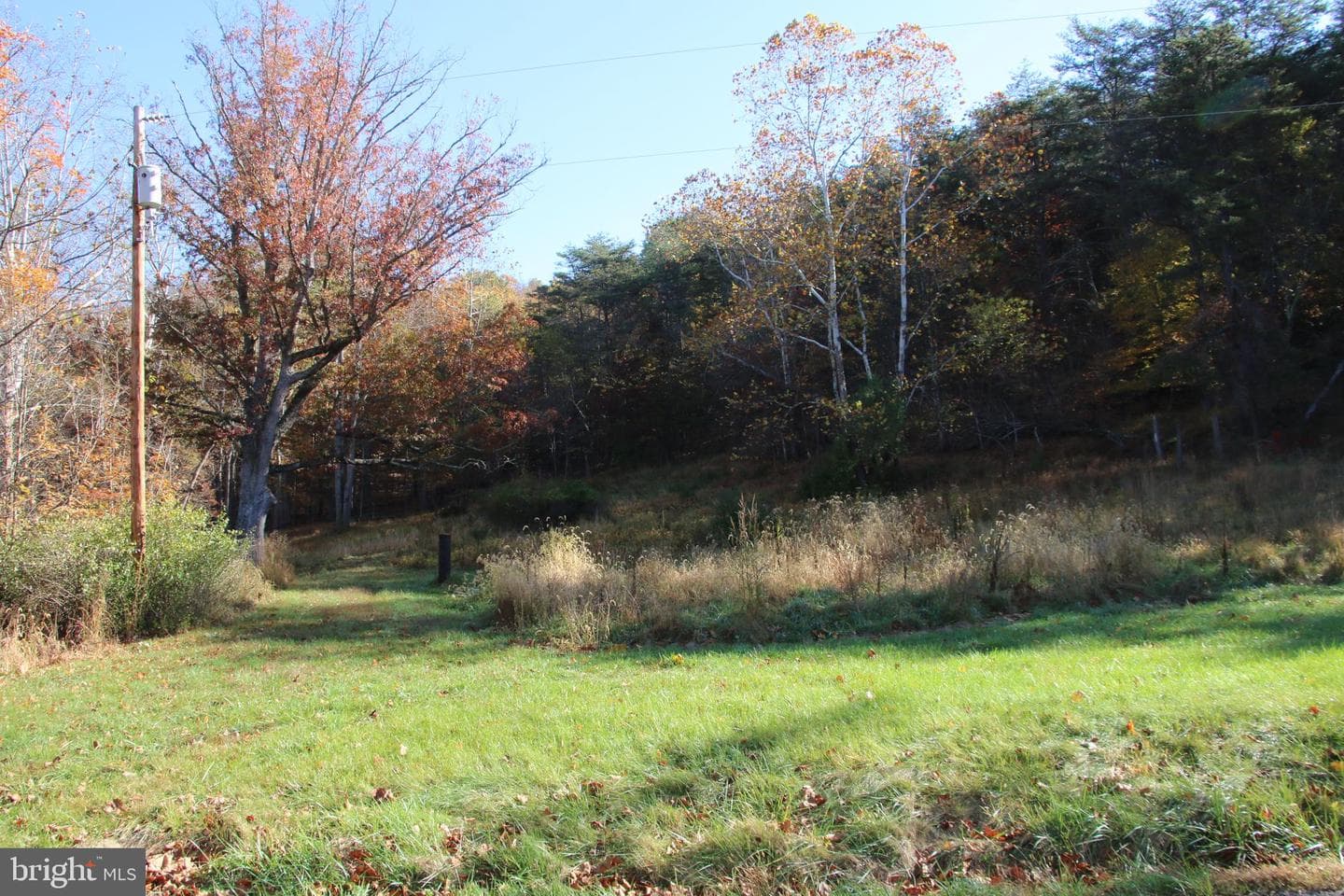 859 Brush Creek photo 41