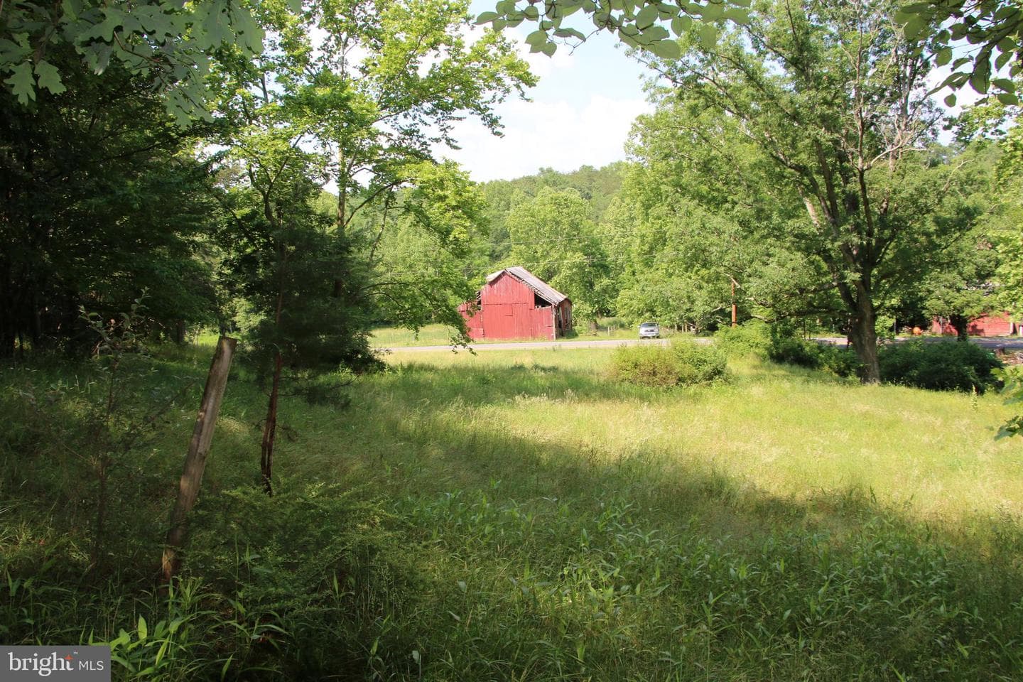 859 Brush Creek photo 5