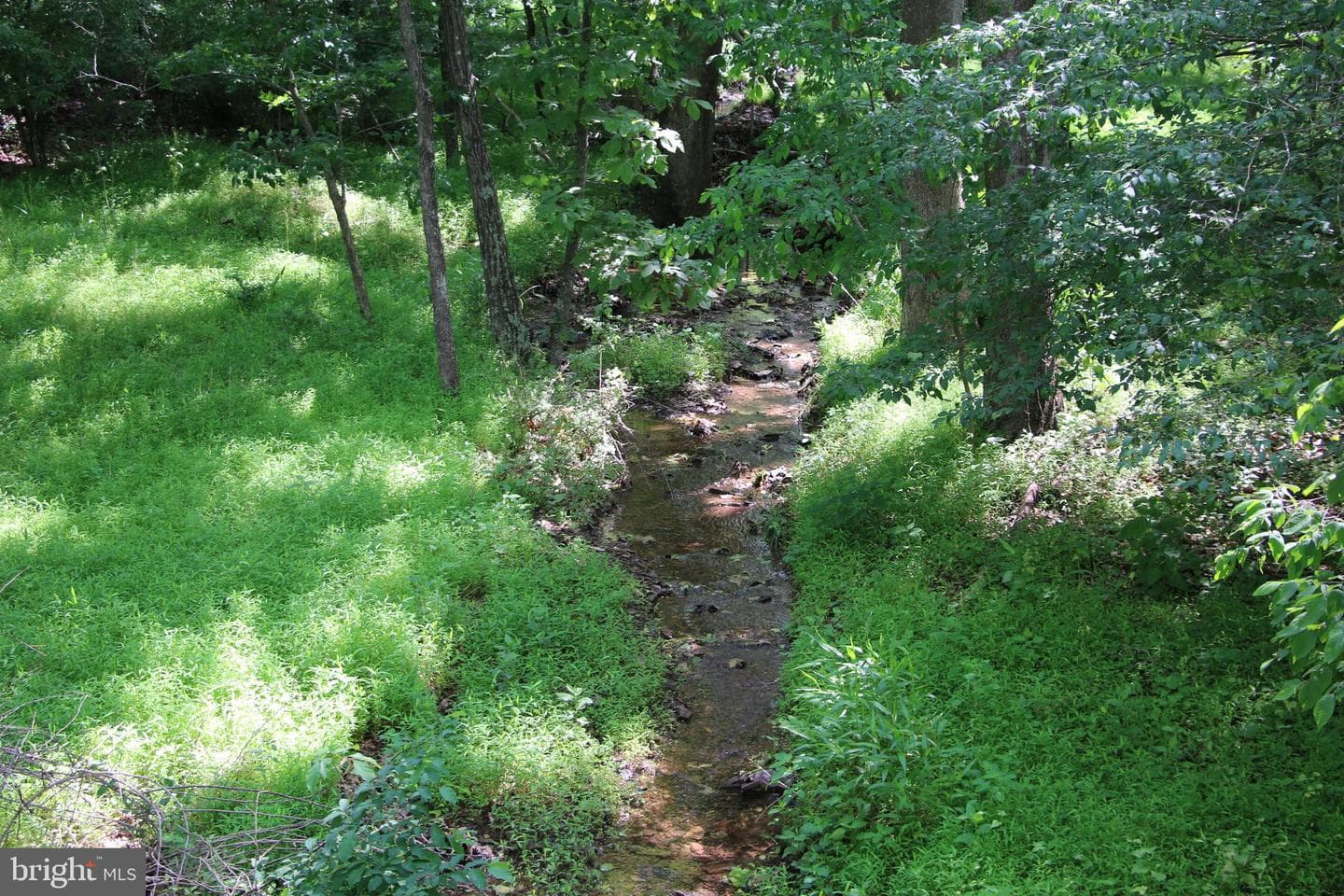 859 Brush Creek photo 6