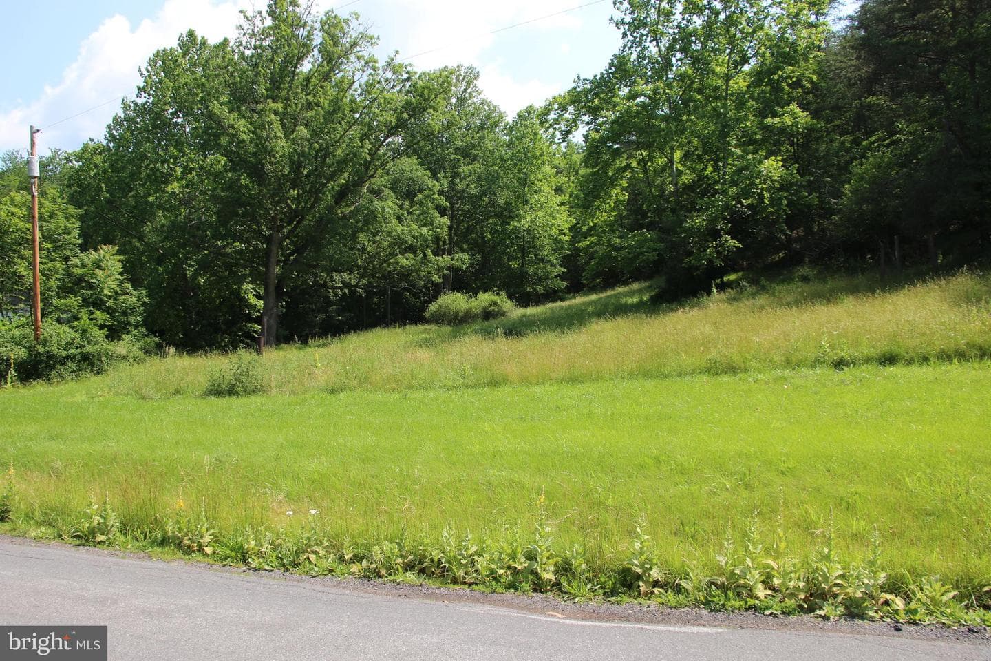 859 Brush Creek photo 7