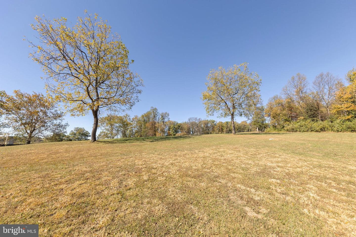 1039 Hiatt Road photo 51