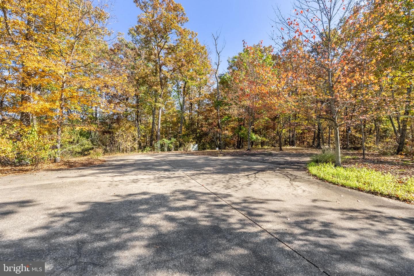 1631 Back Mountain Road photo 4