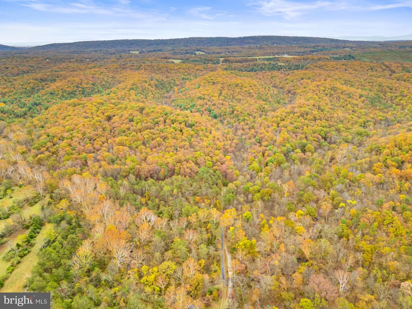 1631 Back Mountain Road photo 82