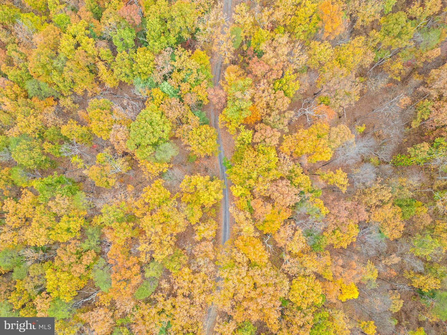 1631 Back Mountain Road photo 85