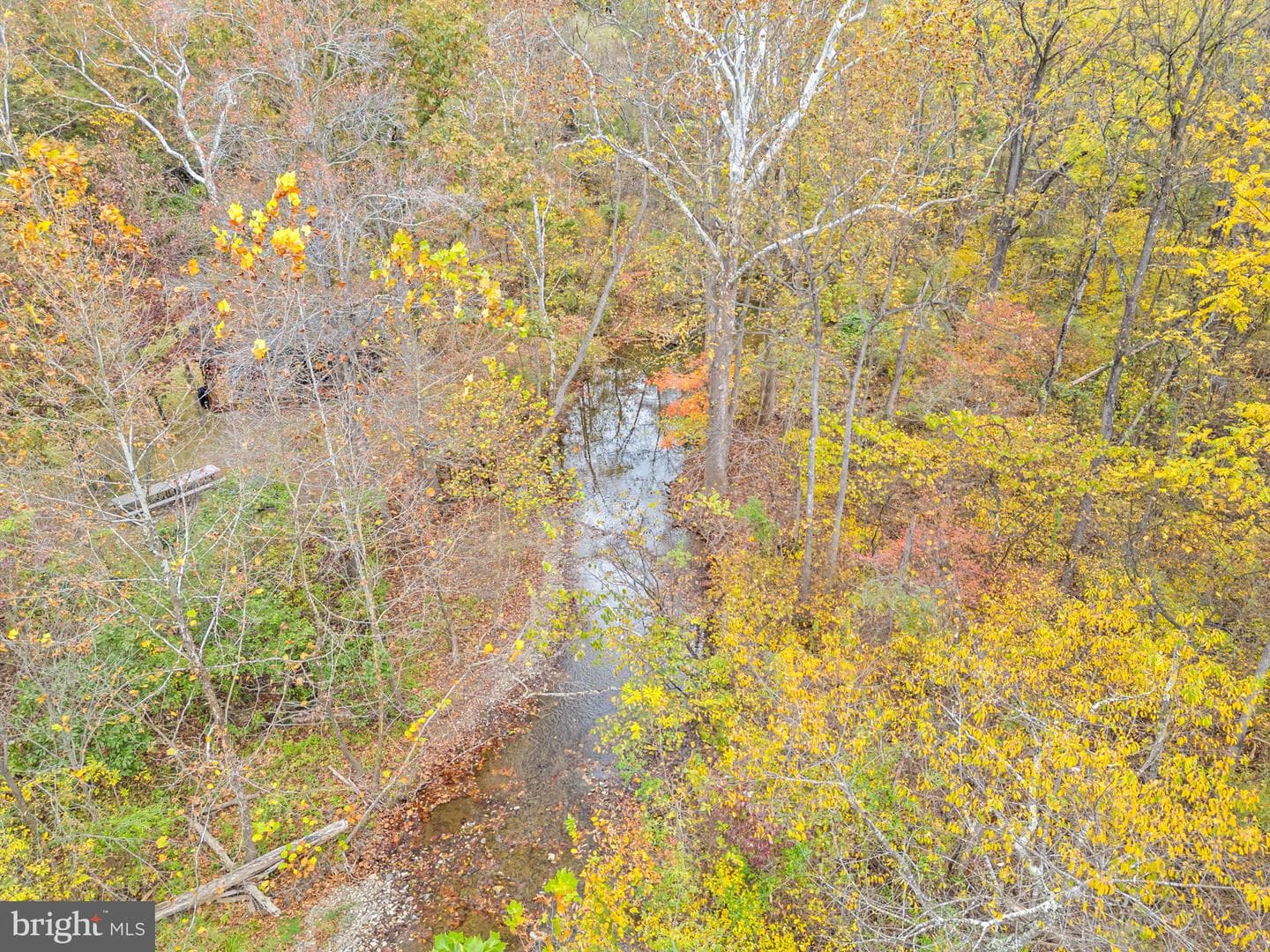 1631 Back Mountain Road photo 86