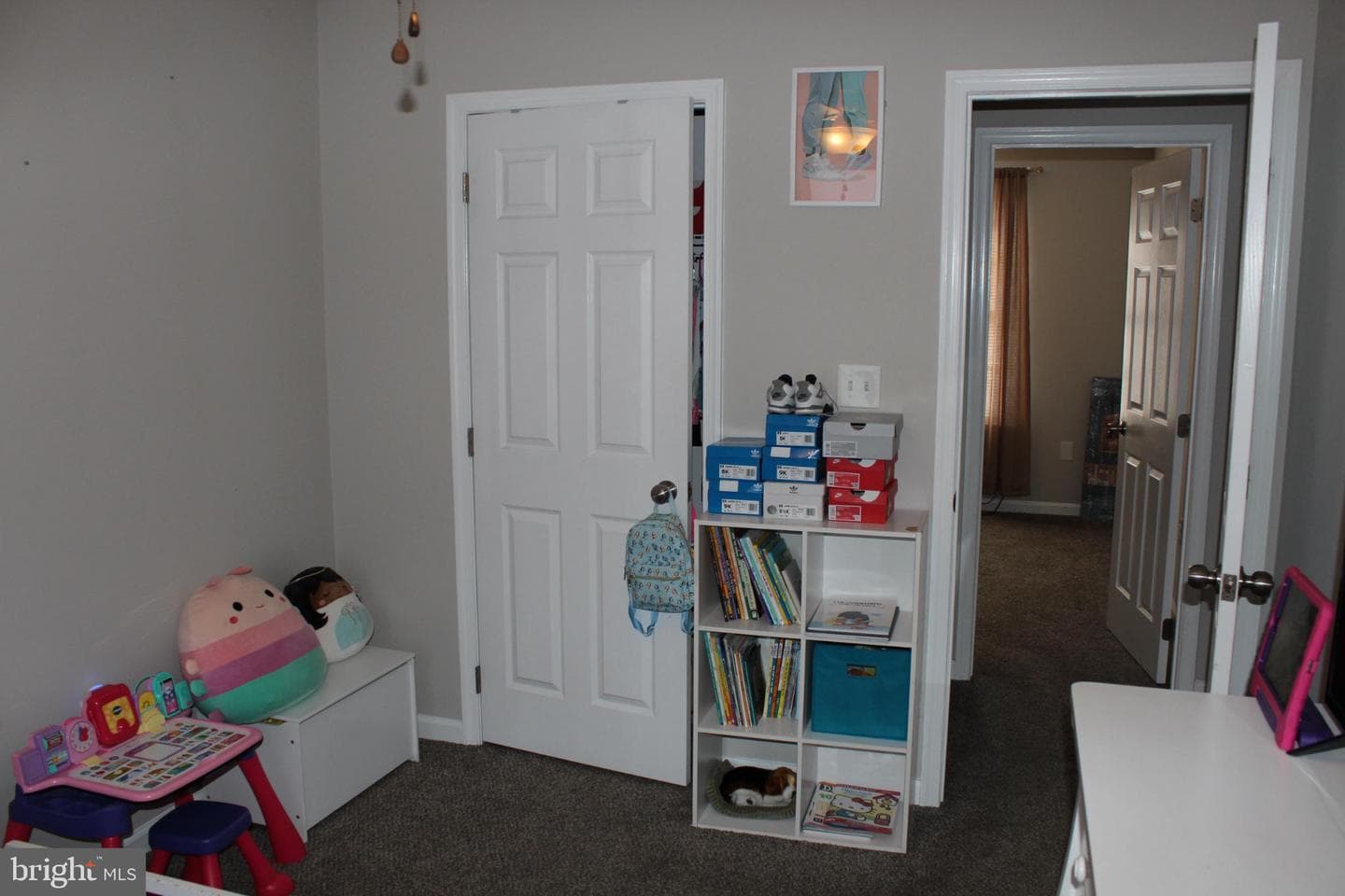 107 Fancy Court photo 18