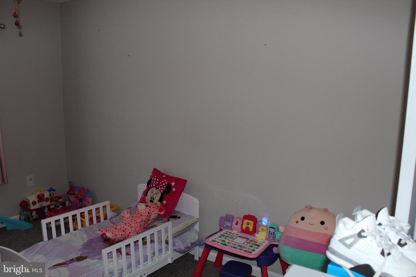 107 Fancy Court photo 20
