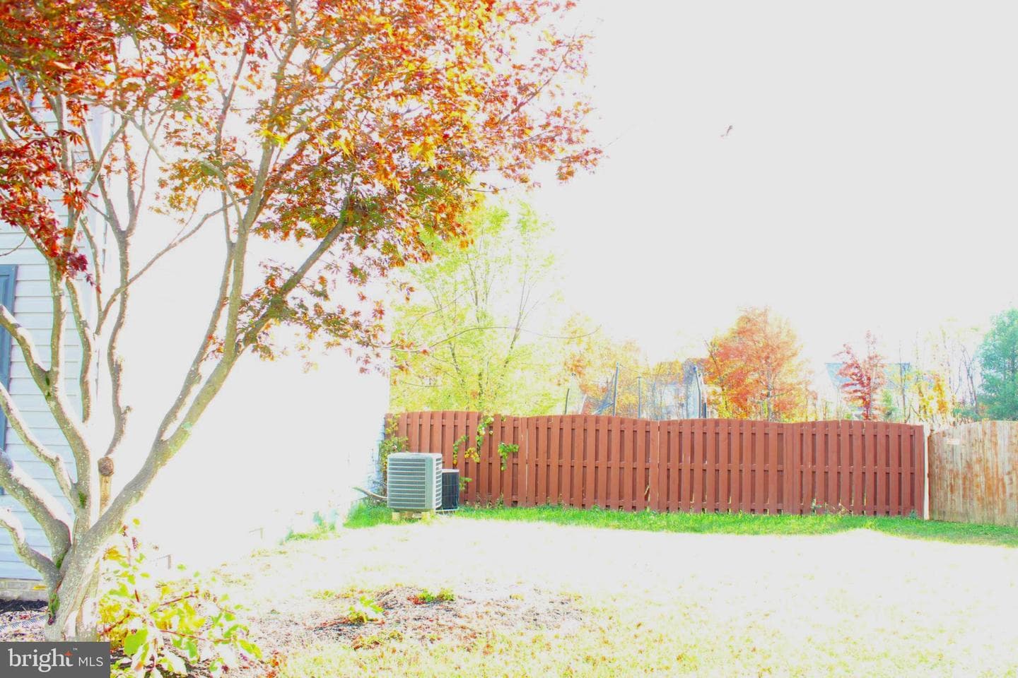 107 Fancy Court photo 34