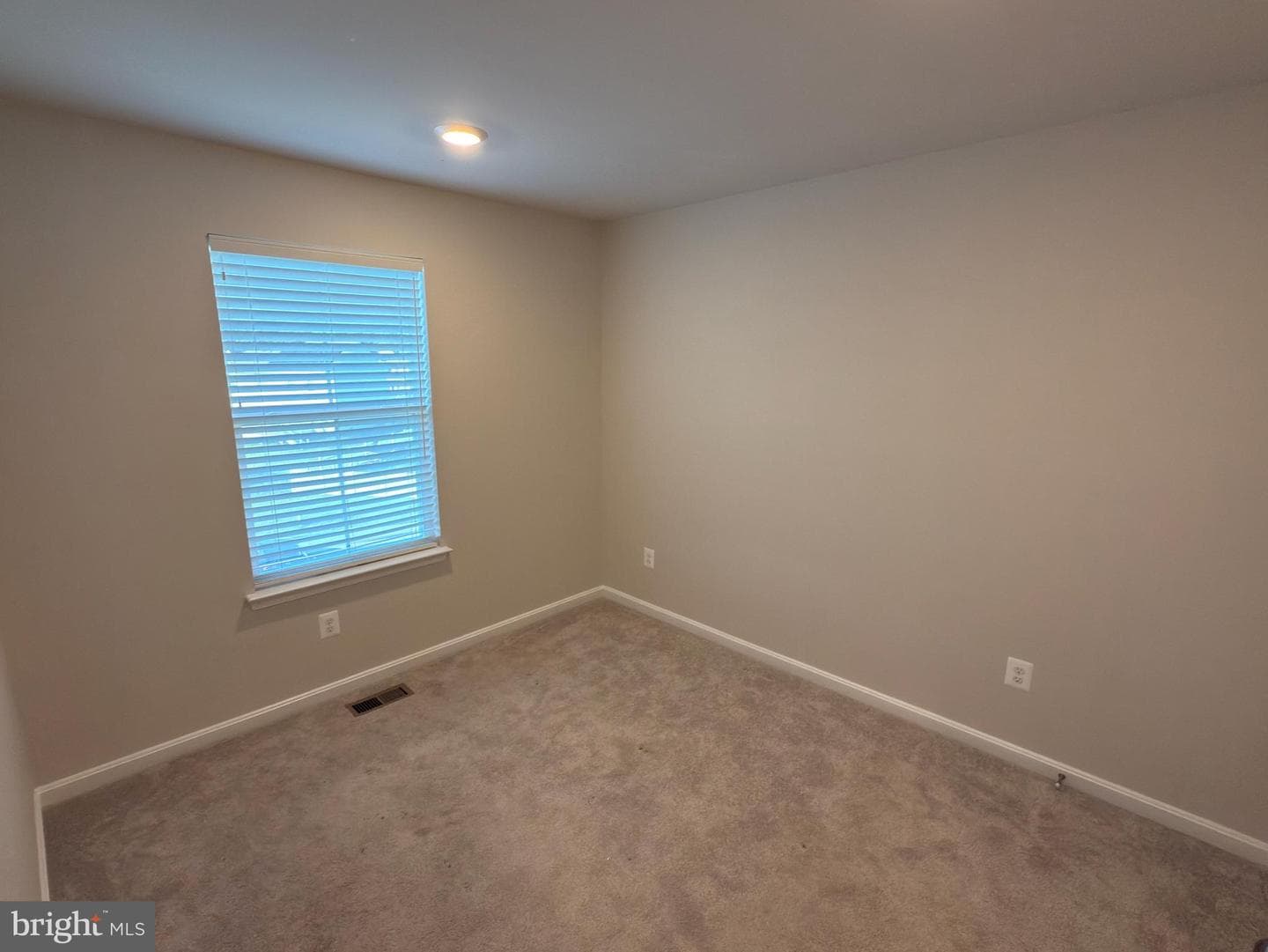 117 Tye Court photo 17