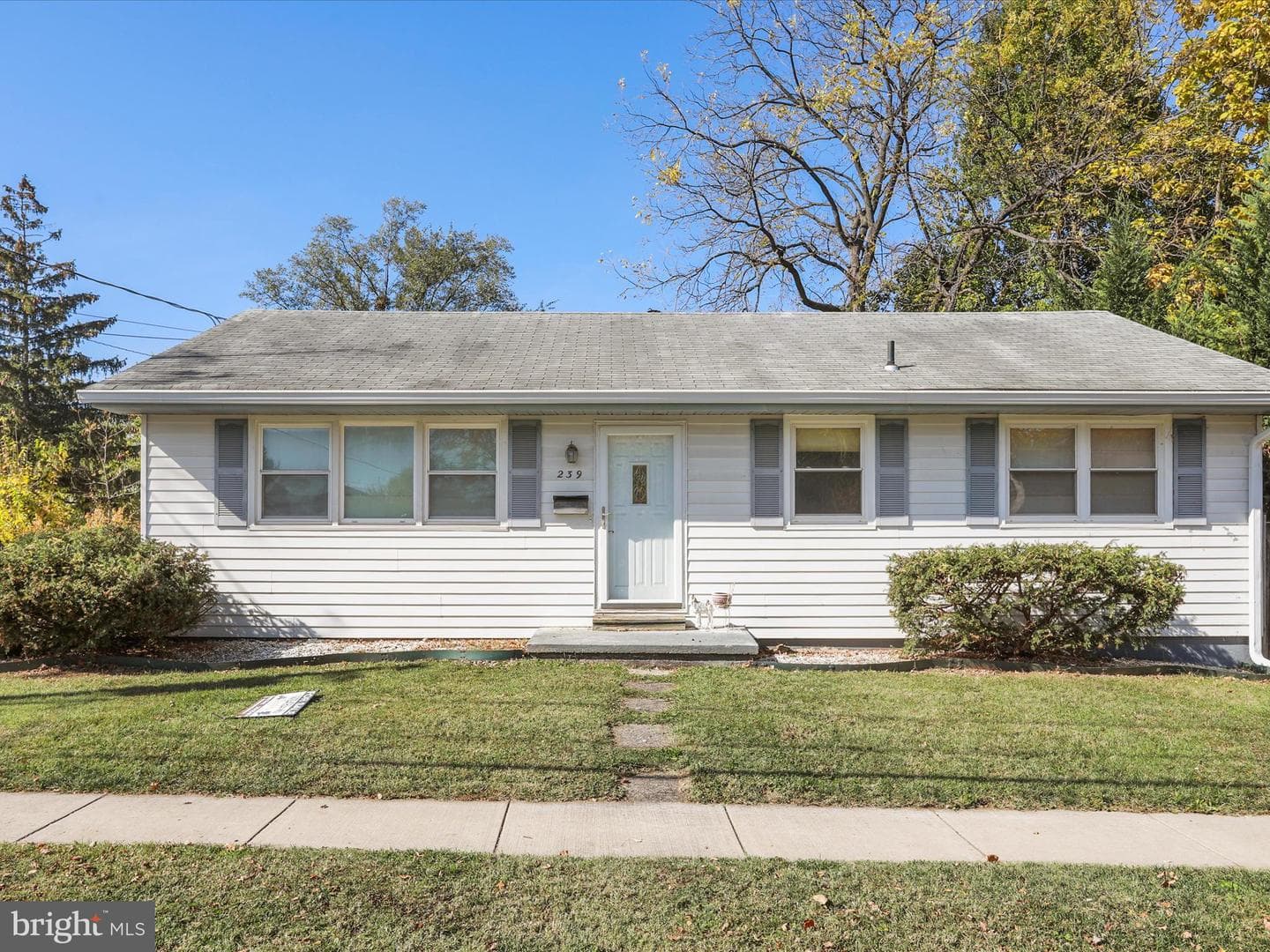 239 Chestnut Street photo 4