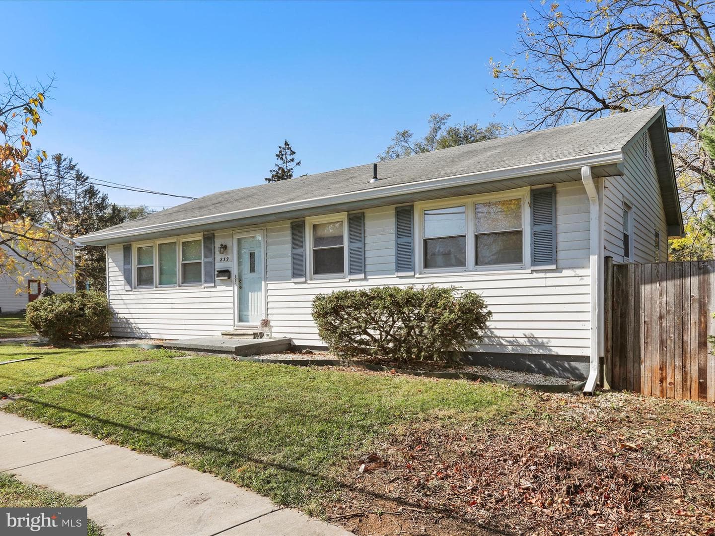 239 Chestnut Street photo 7