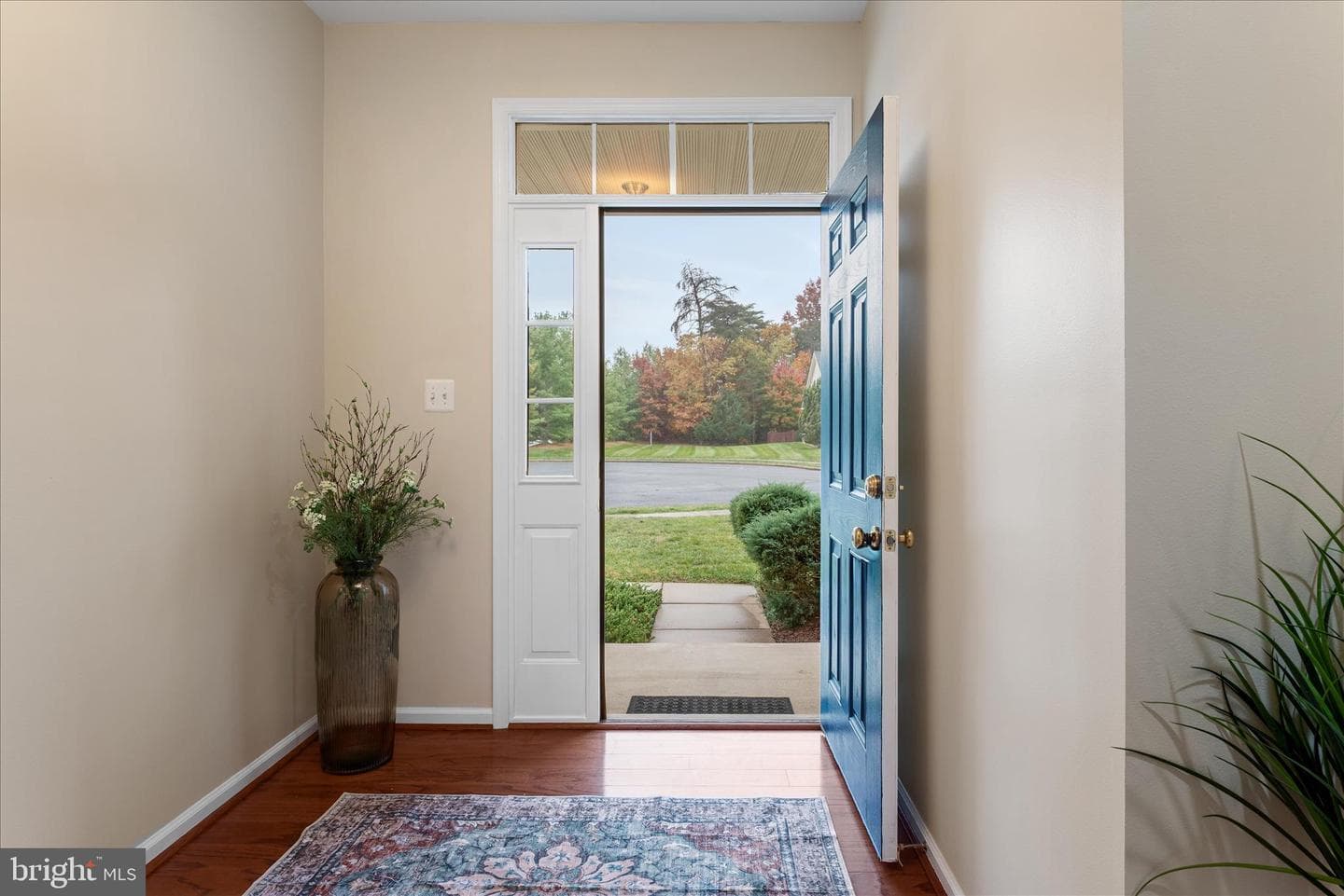 231 Spanish Oak photo 5