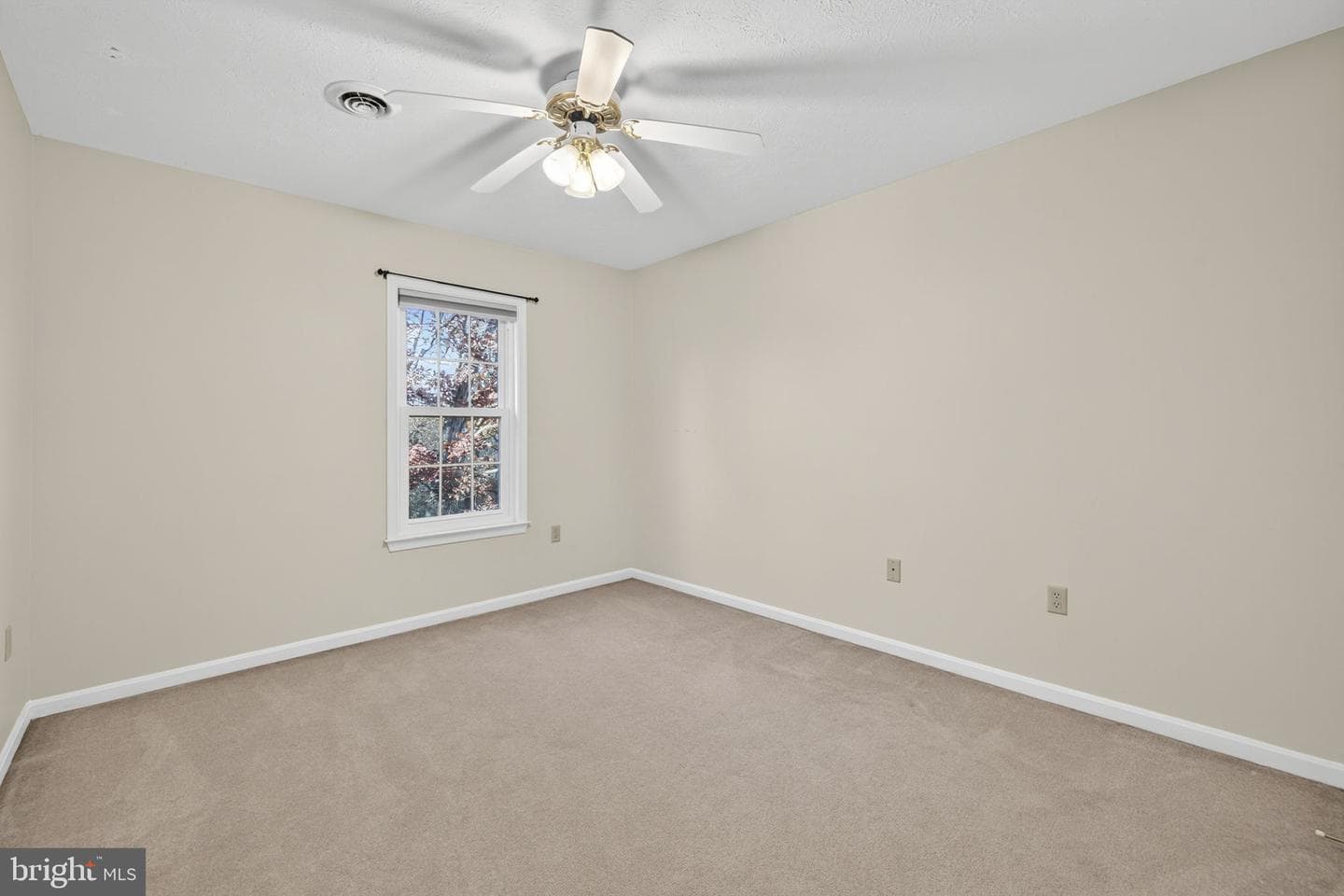 109 Plum Court photo 50