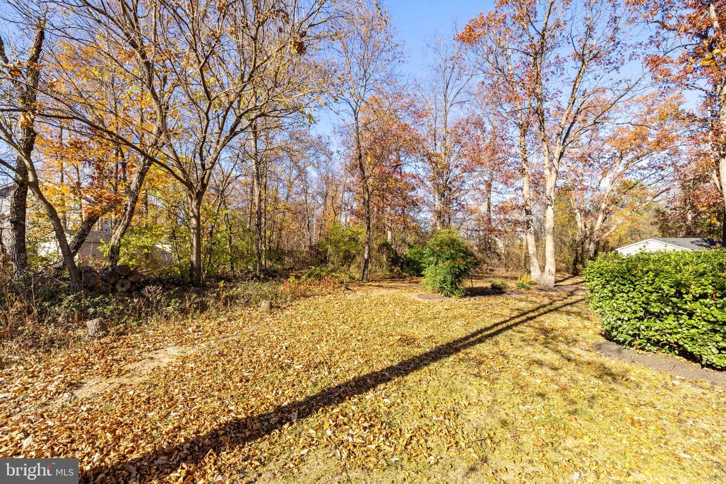 109 Plum Court photo 62