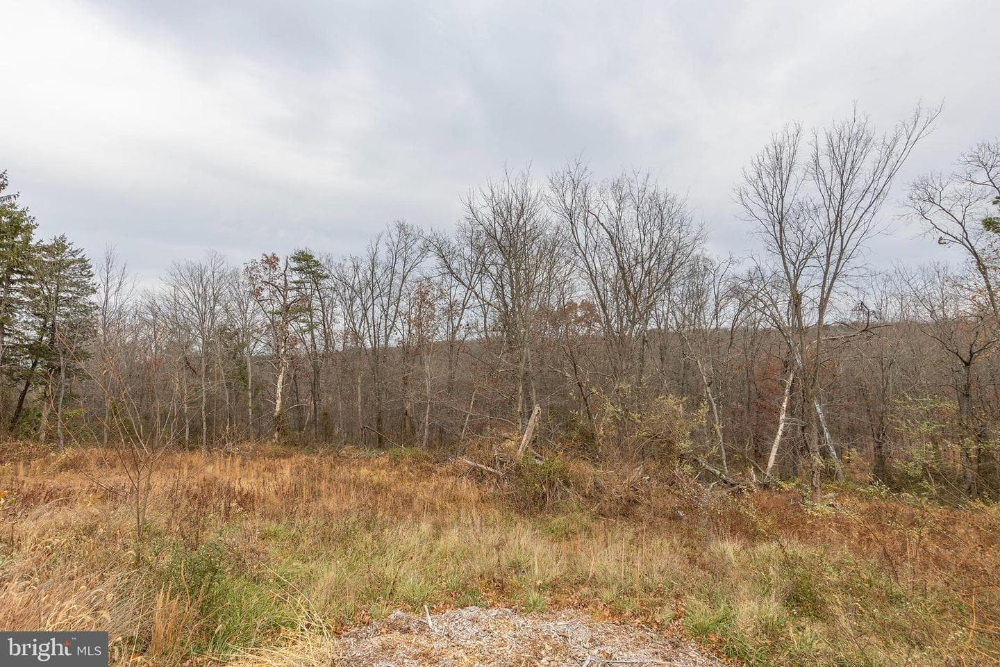 2913 Wardensville Grade photo 36