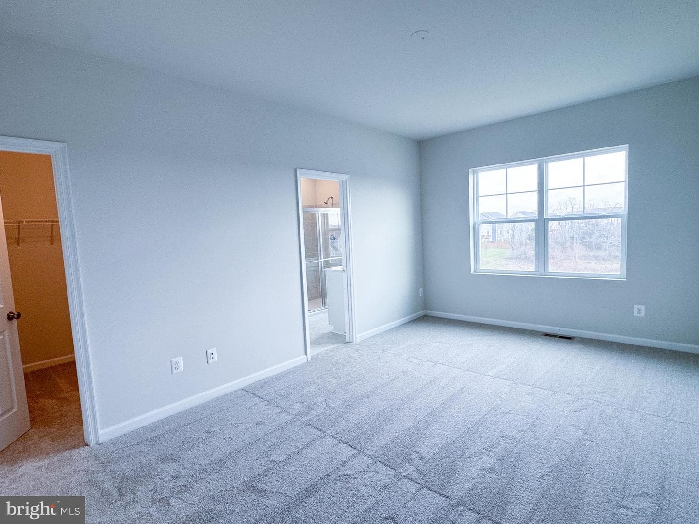 114 Flaxen Mane Court photo 10